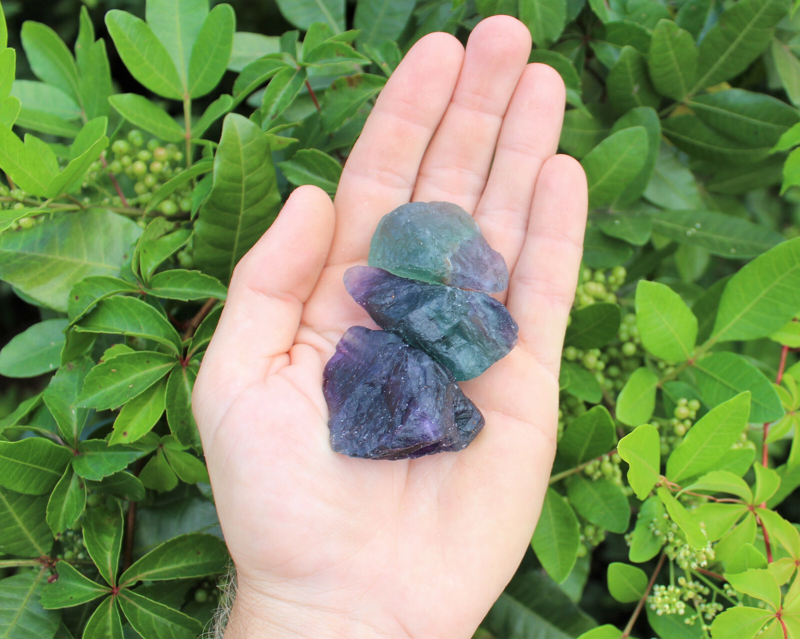 500 Carat Bulk Lot Natural Rough Fluorite (Raw Crystal Rock Healing 100 Grams)