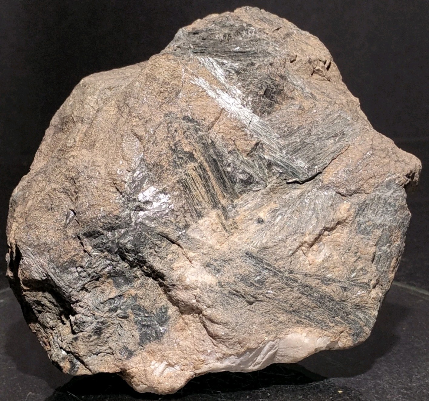 Amphibole Group Mineral w/ Magnetite Quartz & Oolitic Hematite Pilot Knob 15.7oz