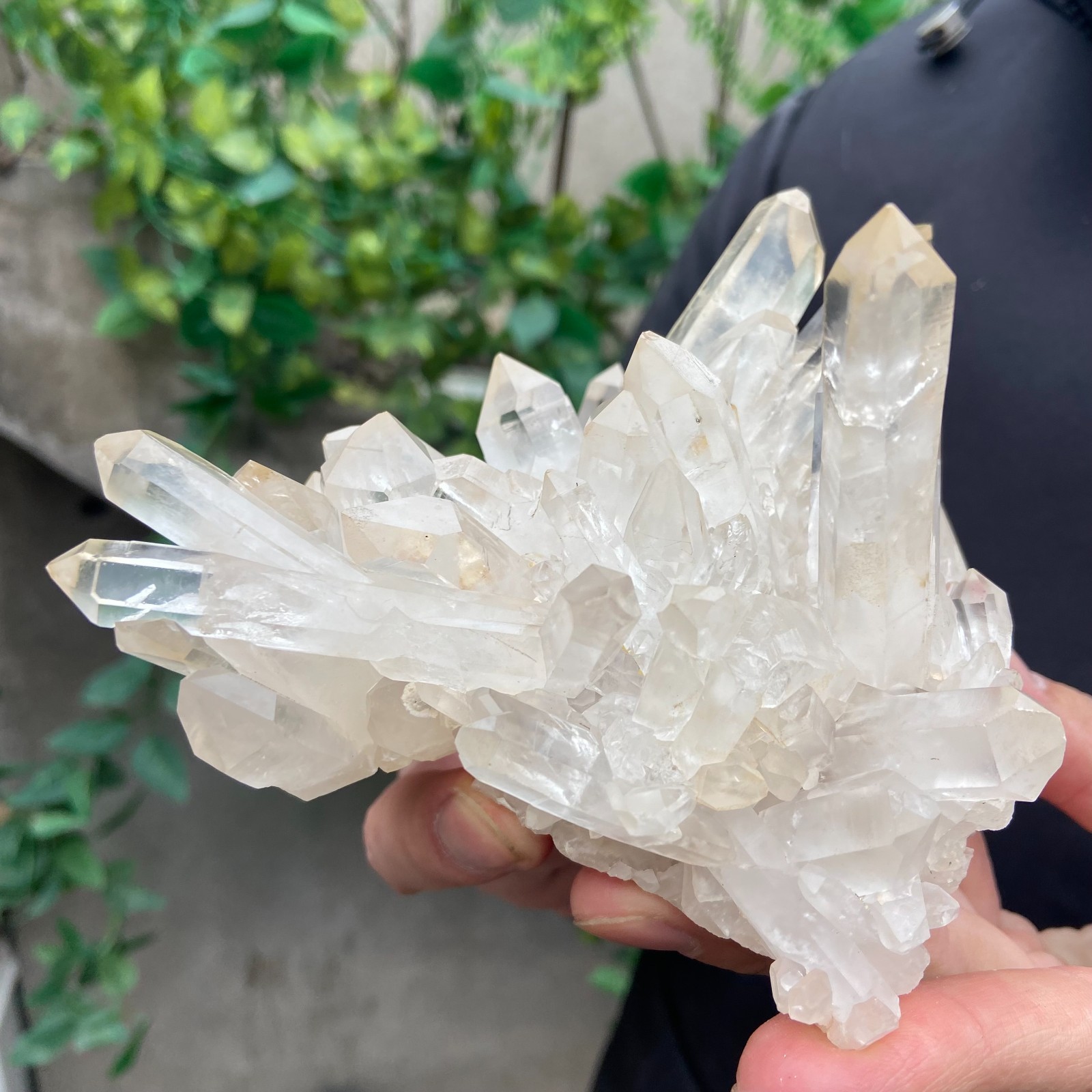 1.6lb Natural clear white quartz crystal cluster mineral specimen healing