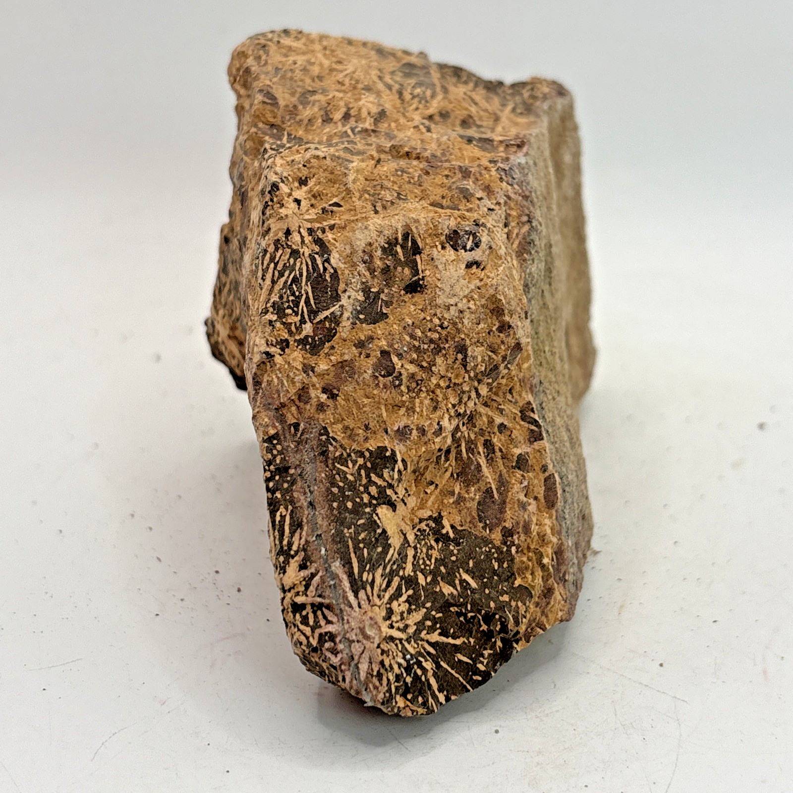 Beautiful Spider Jasper Chrysanthemum Specimen 352 Grams