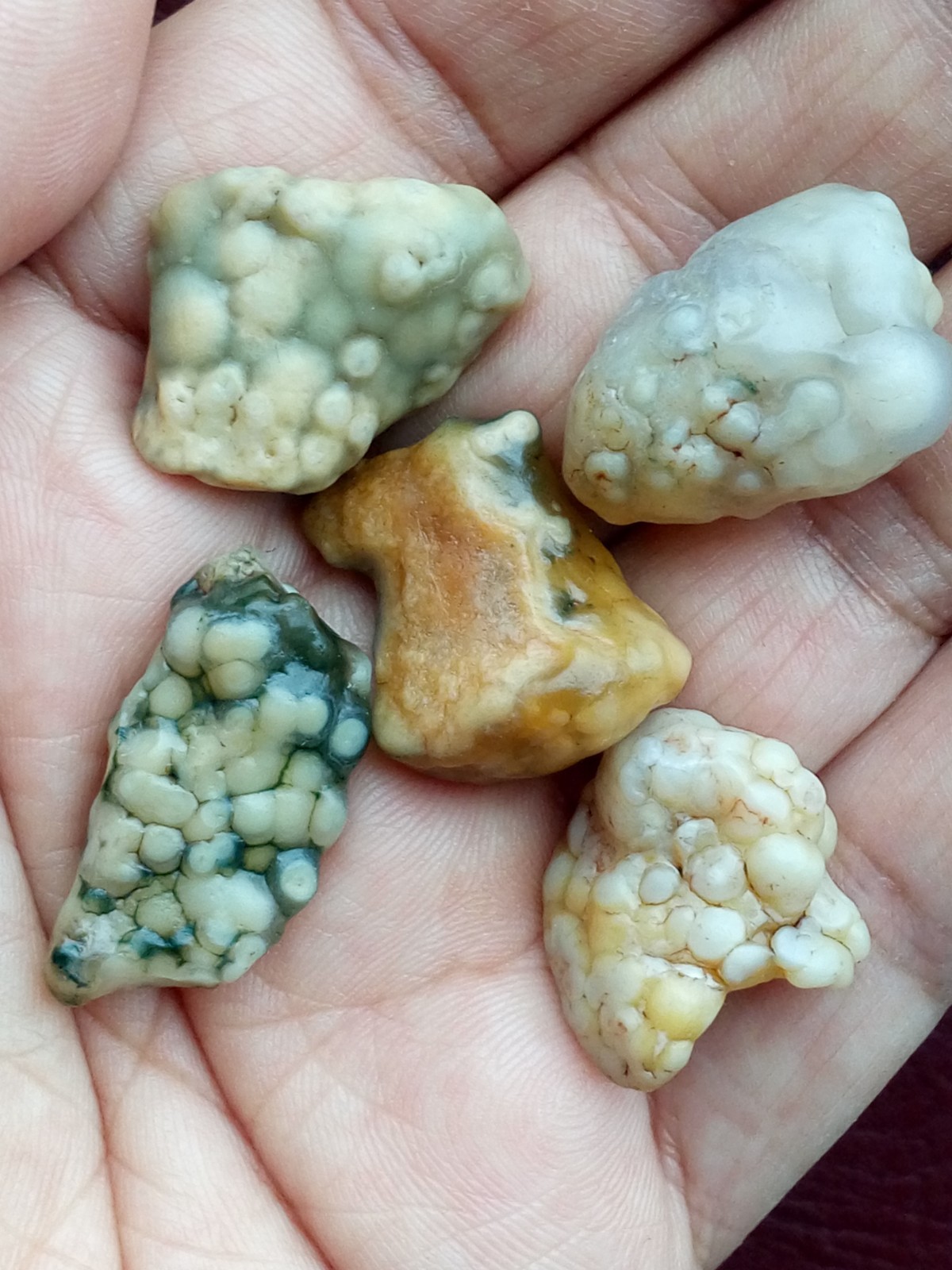 5 pieces Beautiful Natural GoBi agate collection