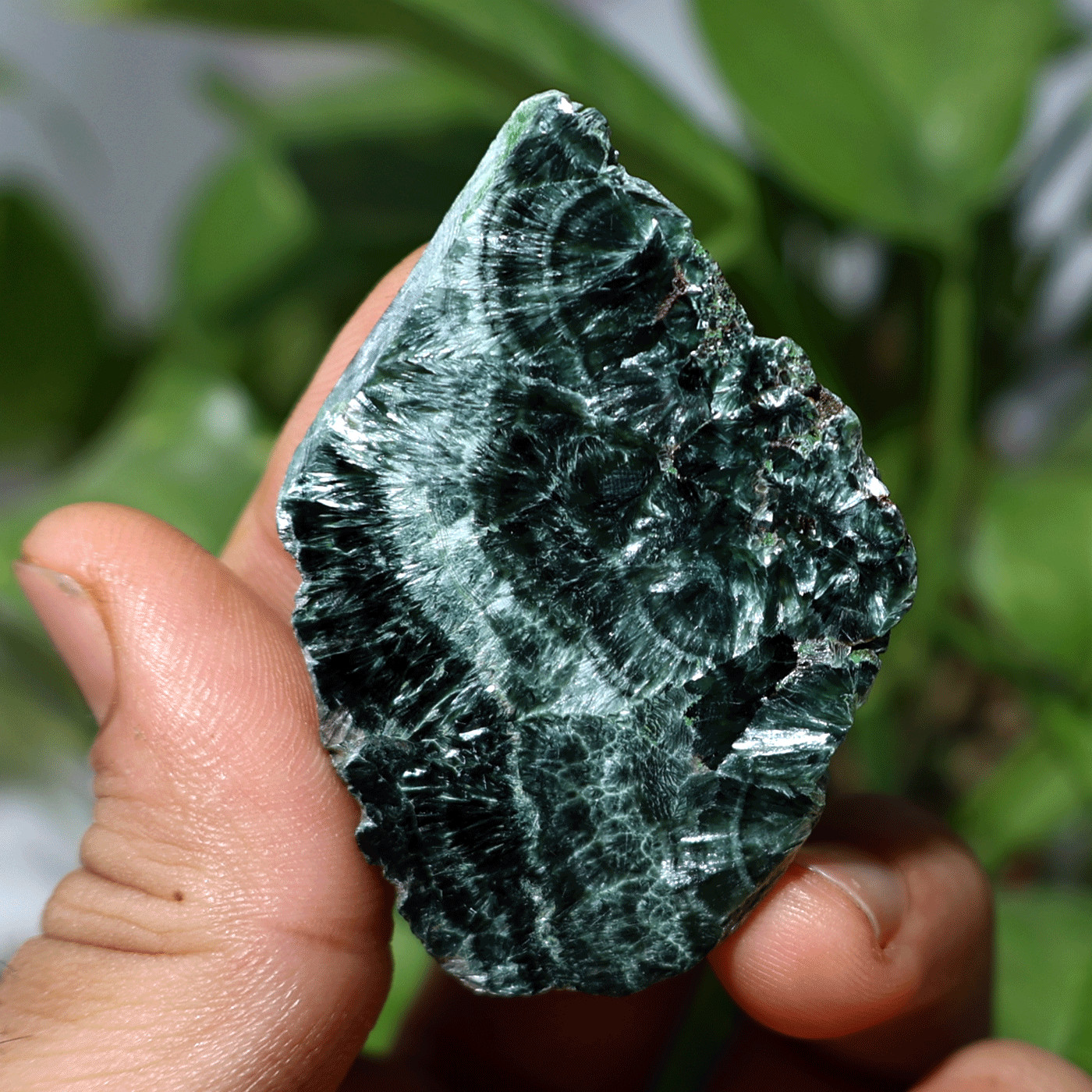 Angel Feathers~ 16.6g Natural Seraphinite Chatoyant Polished Palm Crystal Slab