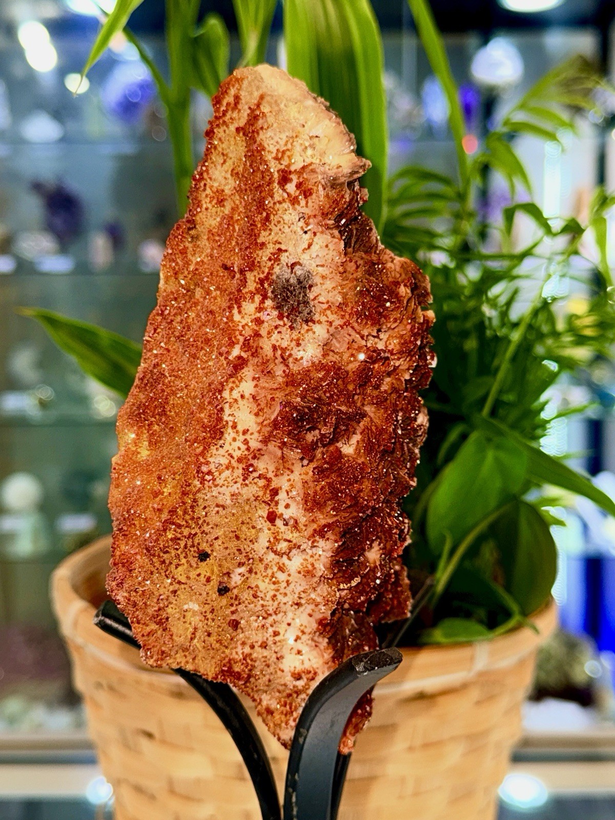 Vanadanite 🇲🇦
