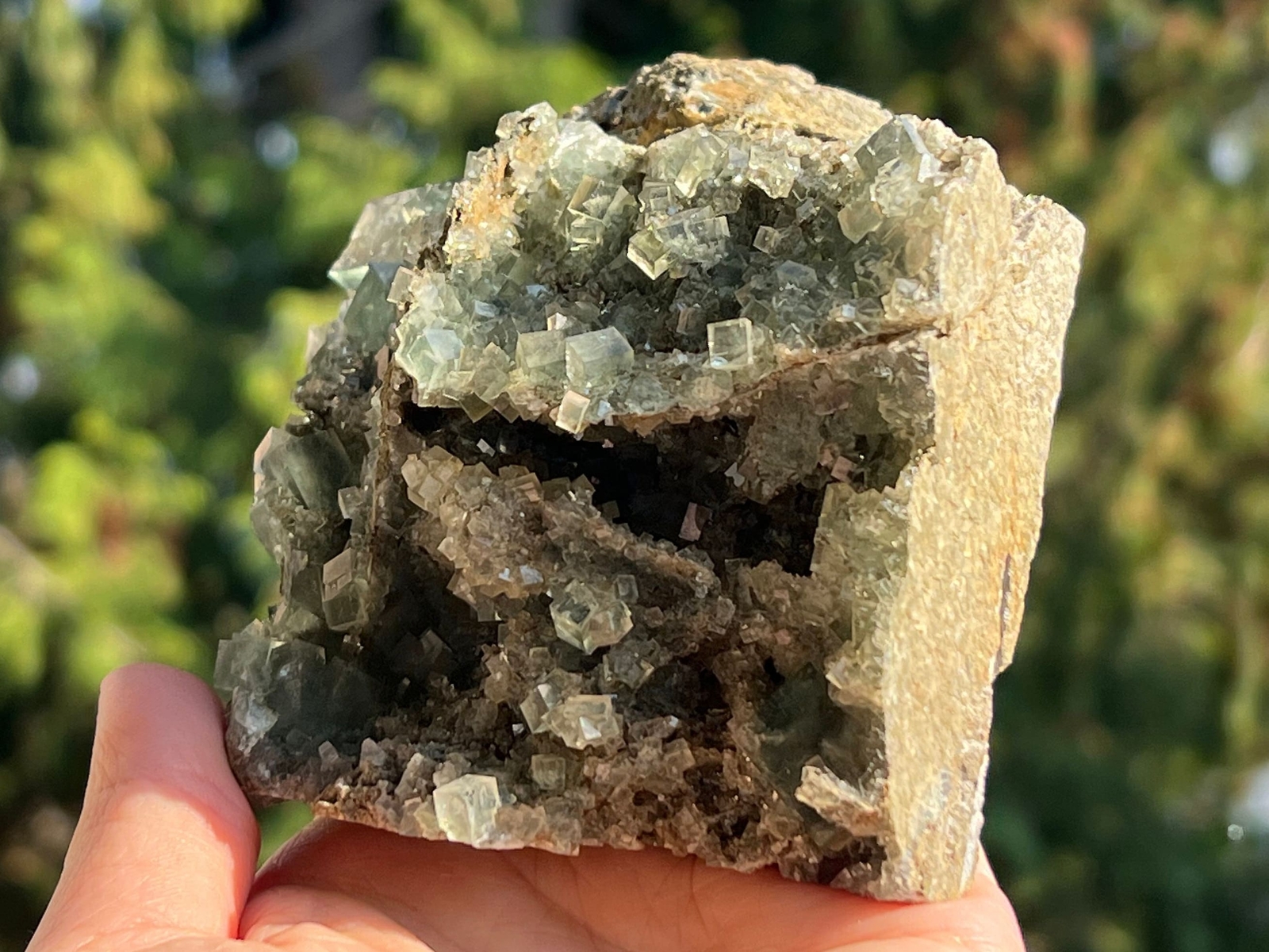 Xianghualing Fluorite Cubes on Matrix – from Hunan, China