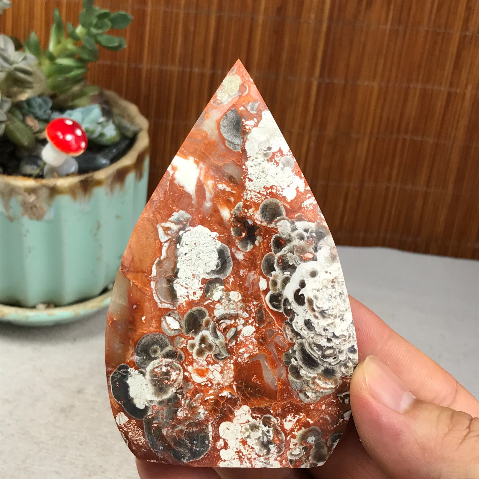 Natural money Mexico agate hand carve leaf Crystal Specimen free standing A6266