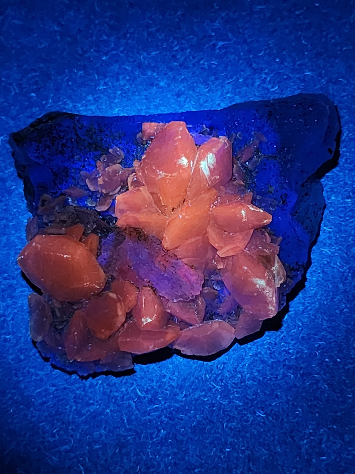 ✨️”Benz” Calcite On Fluorite With Chalcopyrite- Wenshan China✨️