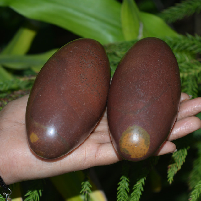 4.5″,4.5″Shiva Lingam Stone Narmada River India Special Rare Gorgeous Lingam~973