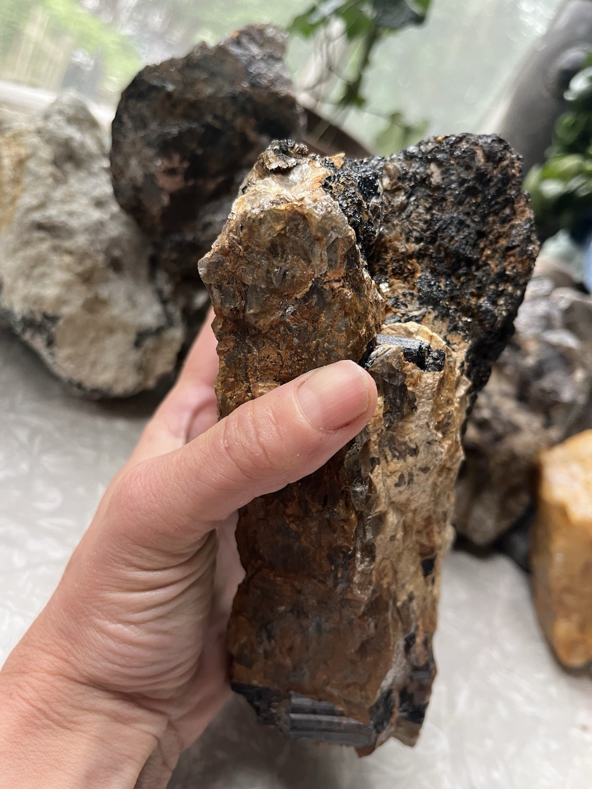 HUGE 5lb Black Tourmaline Schorl Crystal Maine USA Locality Iron Oxidized Quartz