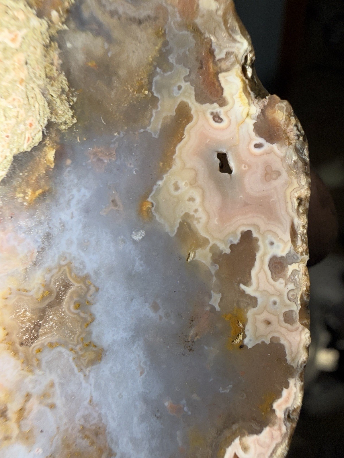 5 Mirror Polished Kentucky Agate Specimens. Nice Variety Fortifications Banding