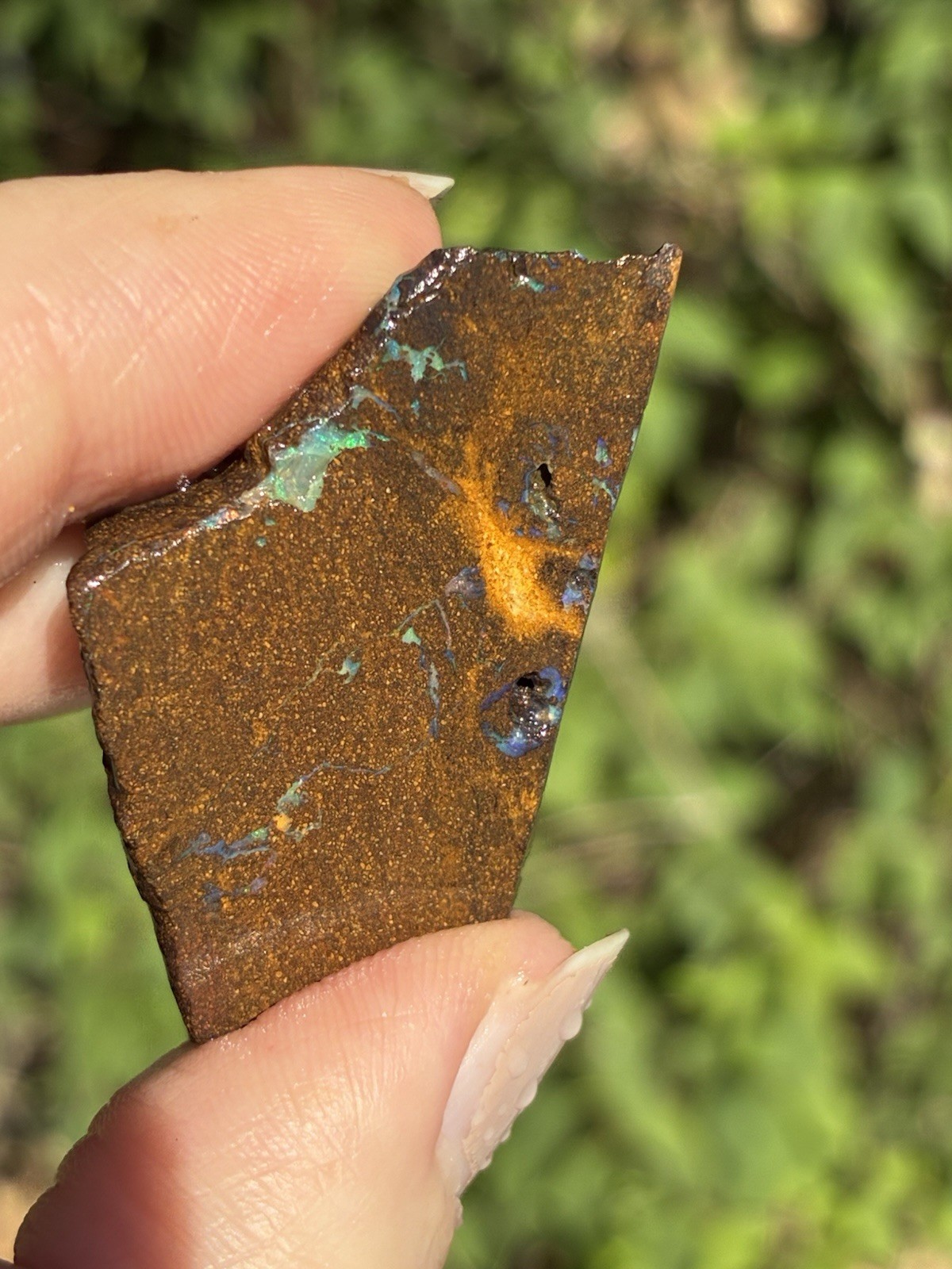 Pretty 47ct Australian Boulder Opal Rough Loose Multicolor Specimen PP