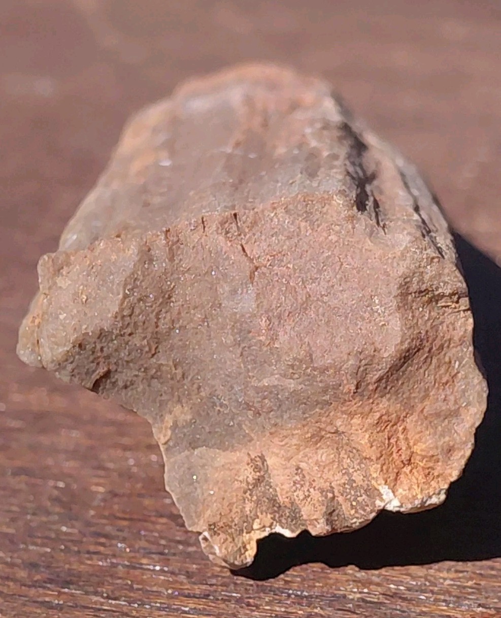 Petrified Wood Fossilized Branch W Bark Druzy Quartz-Hurricane Utah 3 1/4″×1 1/4