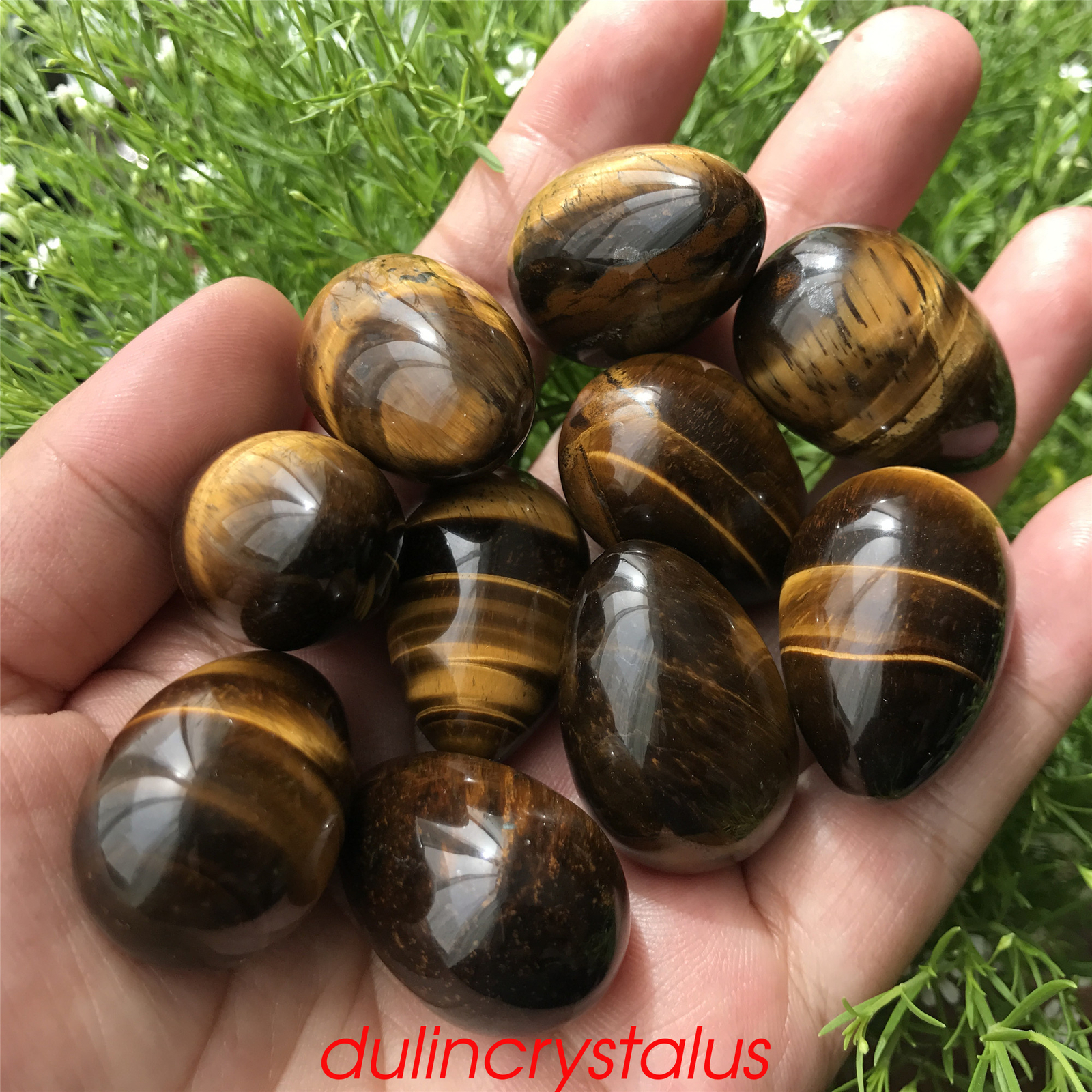 Natural tiger eye eggs quartz crystal pendant mineral samples reiki gem 10x