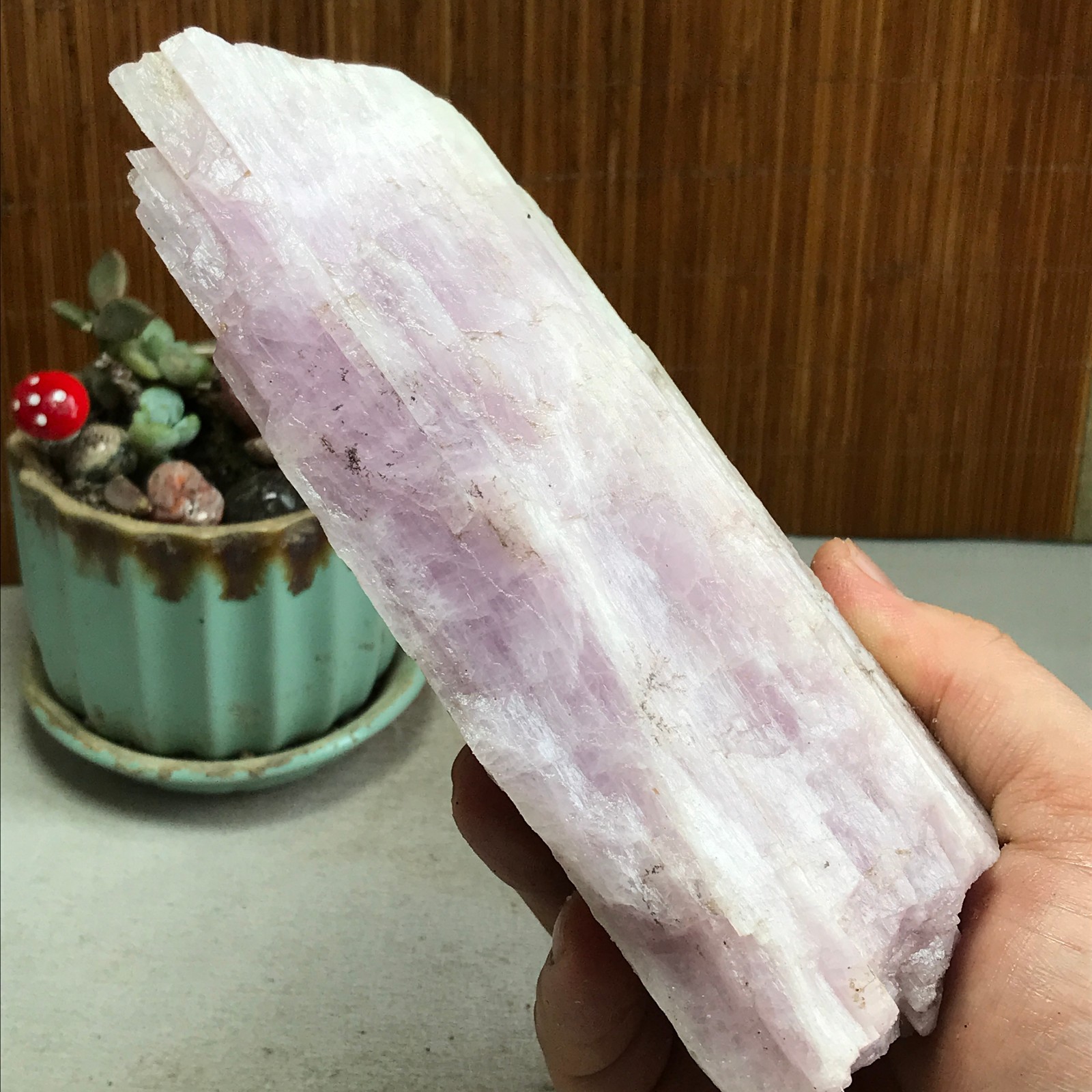 170-78-40mm NATURAL ROUGH KUNZITE PINK SPODUMENE CRYSTALS 830g A4613
