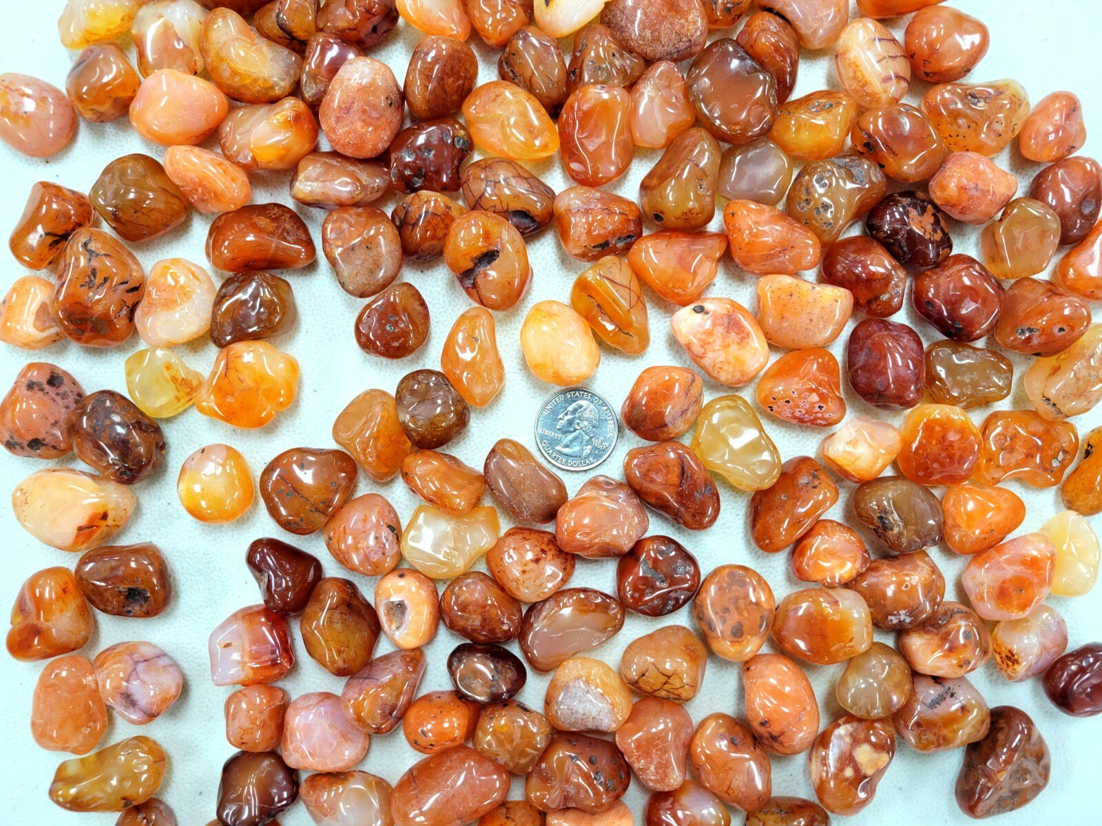 Tumbled Carnelian Crystal Stones size SMALL 1/2 inch to 1 inch