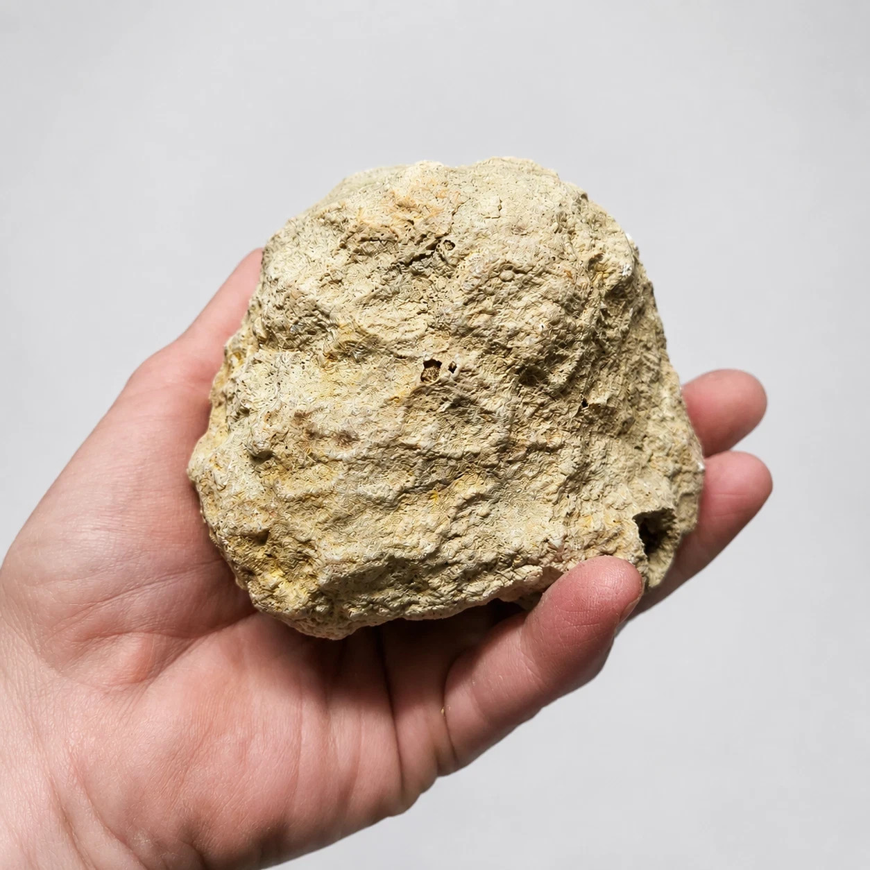 9 lb Kentucky Geode Lot of 14 – Rattler Included – Crack Your Own Crystals