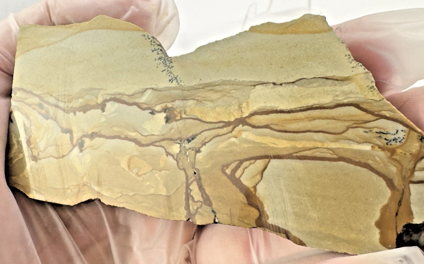 4) Rare Polished Ohwlee Picture Jasper Slab 5″ Display Specimen 5.80 oz