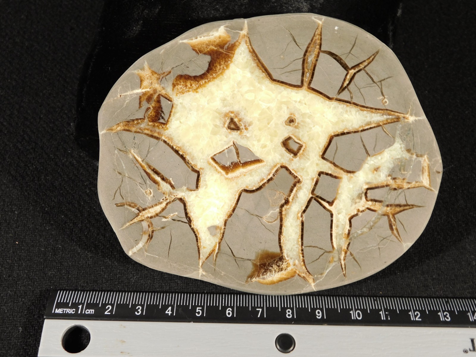 Polished FLUORESCENT SEPTARIAN Nodule Slice 100% Natural w/Stand 244gr