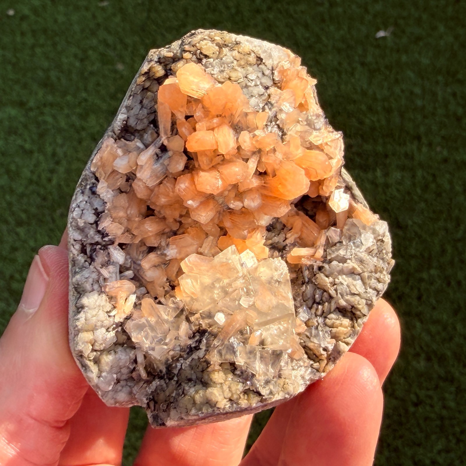 Rare Calcite Stellerite Julgodite Geode India Dual Wave UV Fluorescent Stand