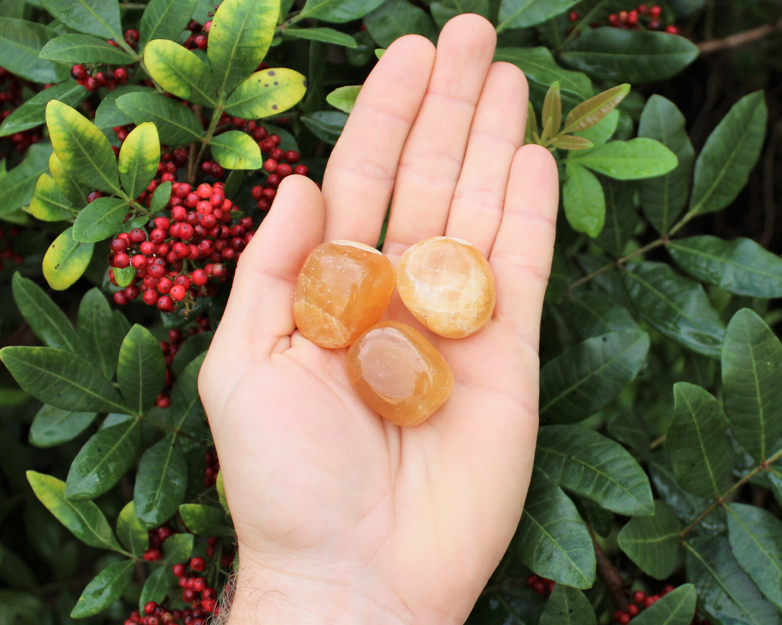 Honey Calcite Tumbled Stones: Choose Ounces or lb Bulk Wholesale Lots (A Grade)