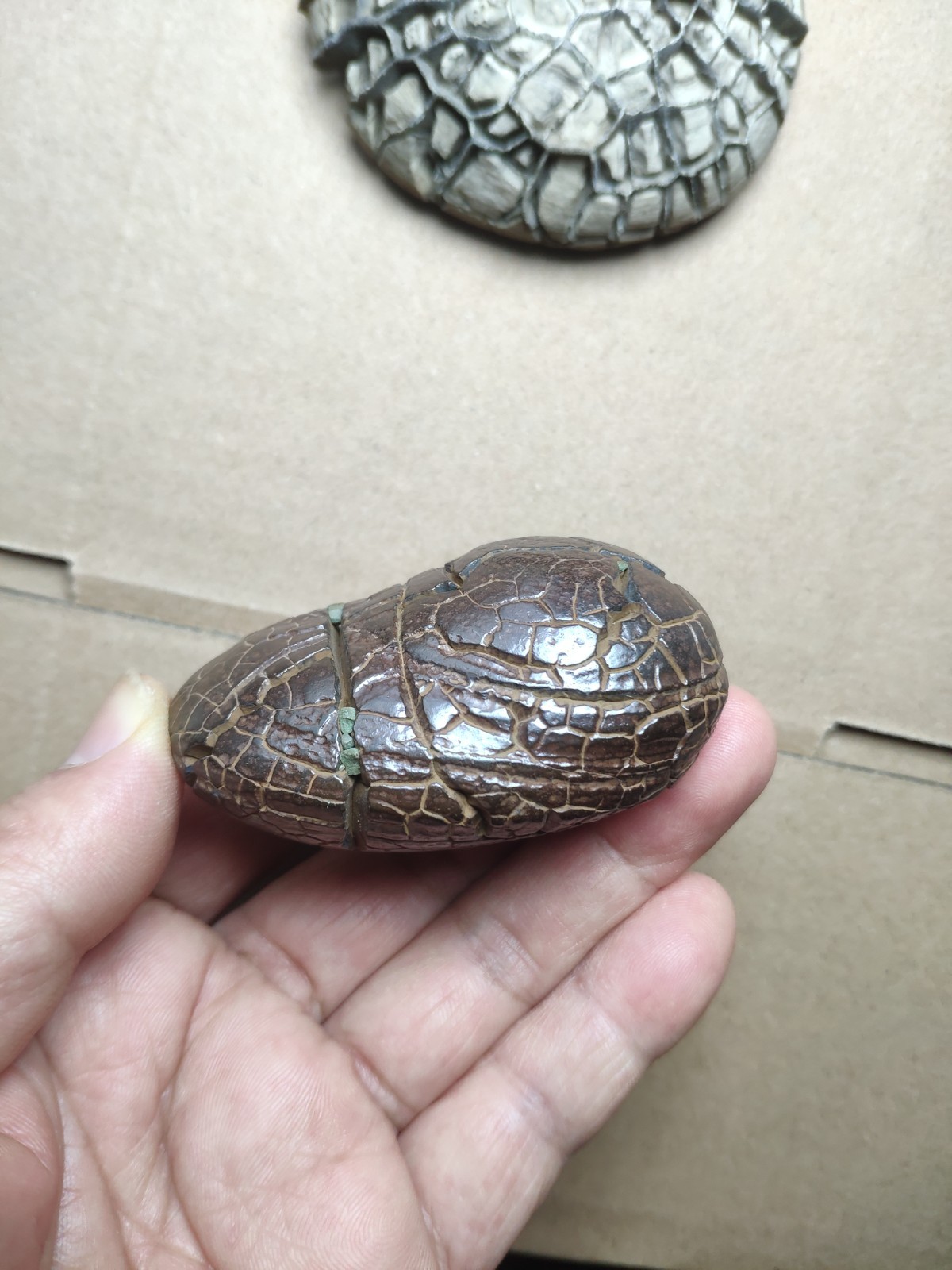 182g beautiful tortoise back pattern stone Turtle grain stone Landscape stone