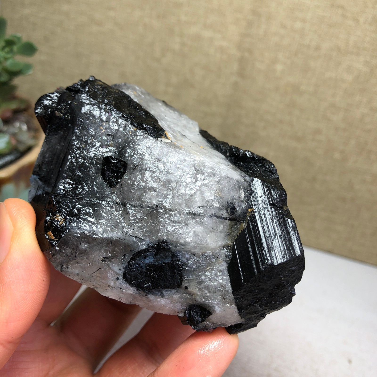 252g Natural tourmaline Crystal paragenesis gemstone original Specimen A4822