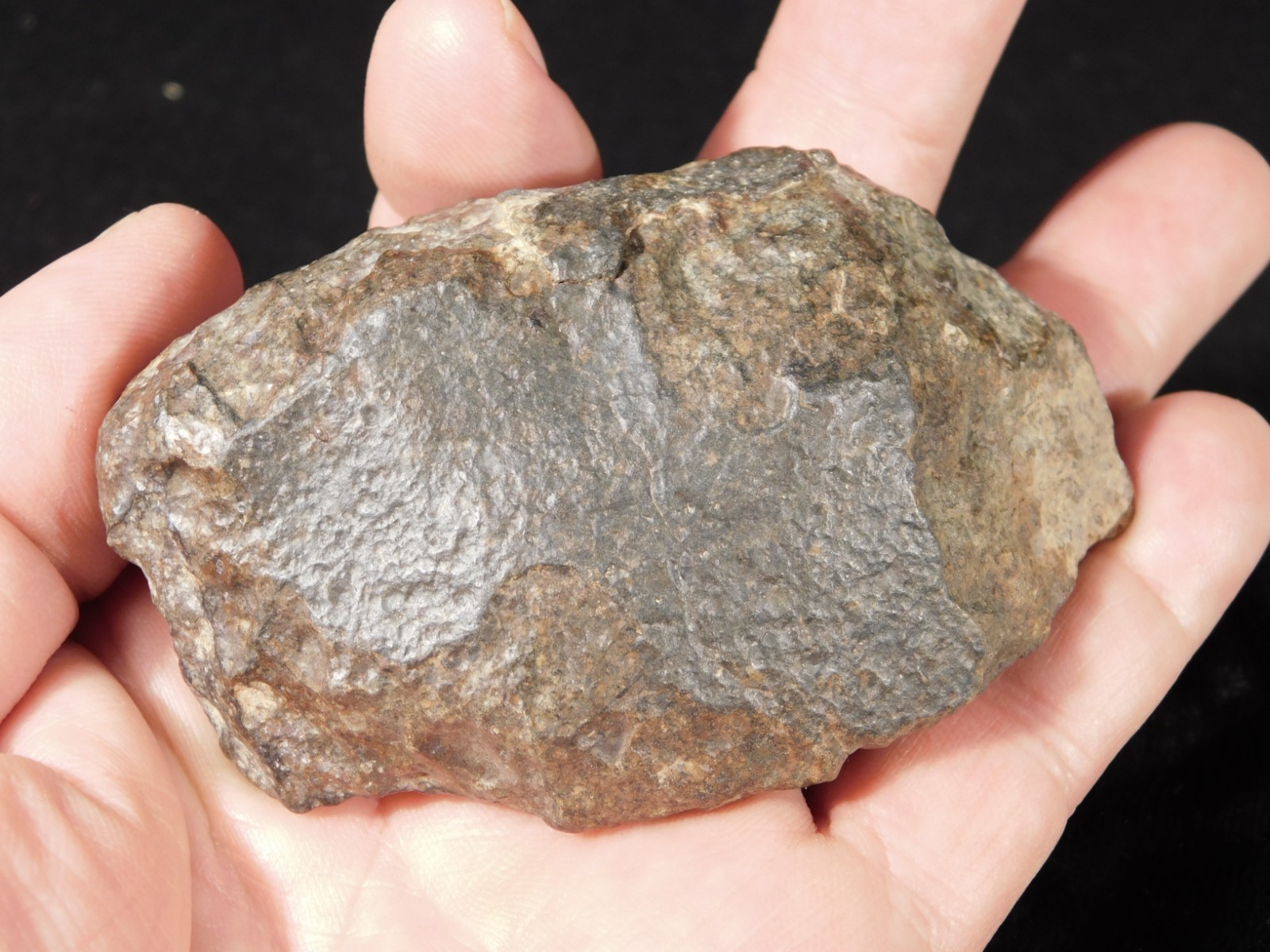 Larger N.W.A 869 Stony METEORITE with Dark Fusion Crust 197gr