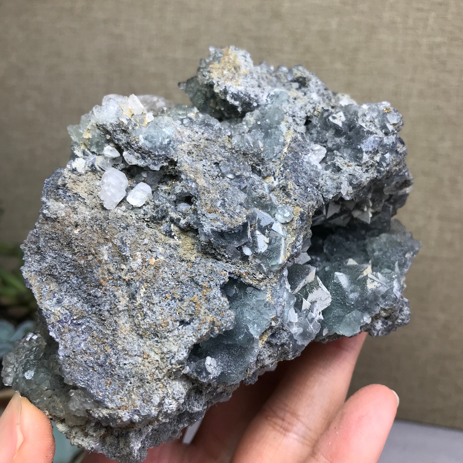 476g NATURAL Green Cubic FLUORITE paragenesis Crystal Cluster Specimen A4780