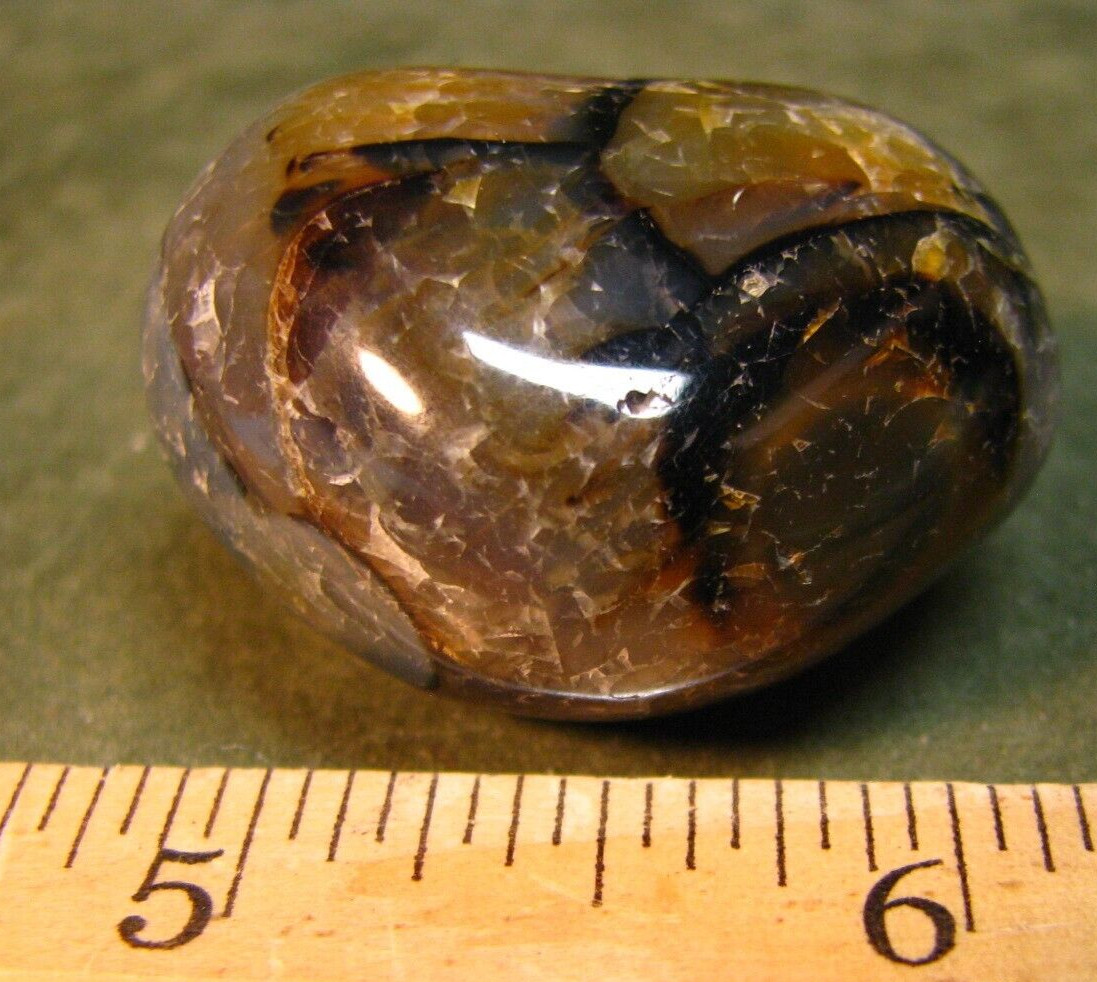 41g 40mm DENDRITIC CHALCEDONY AGATE PALM STONE MADAGASCAR MAD CRAZY LACE #014