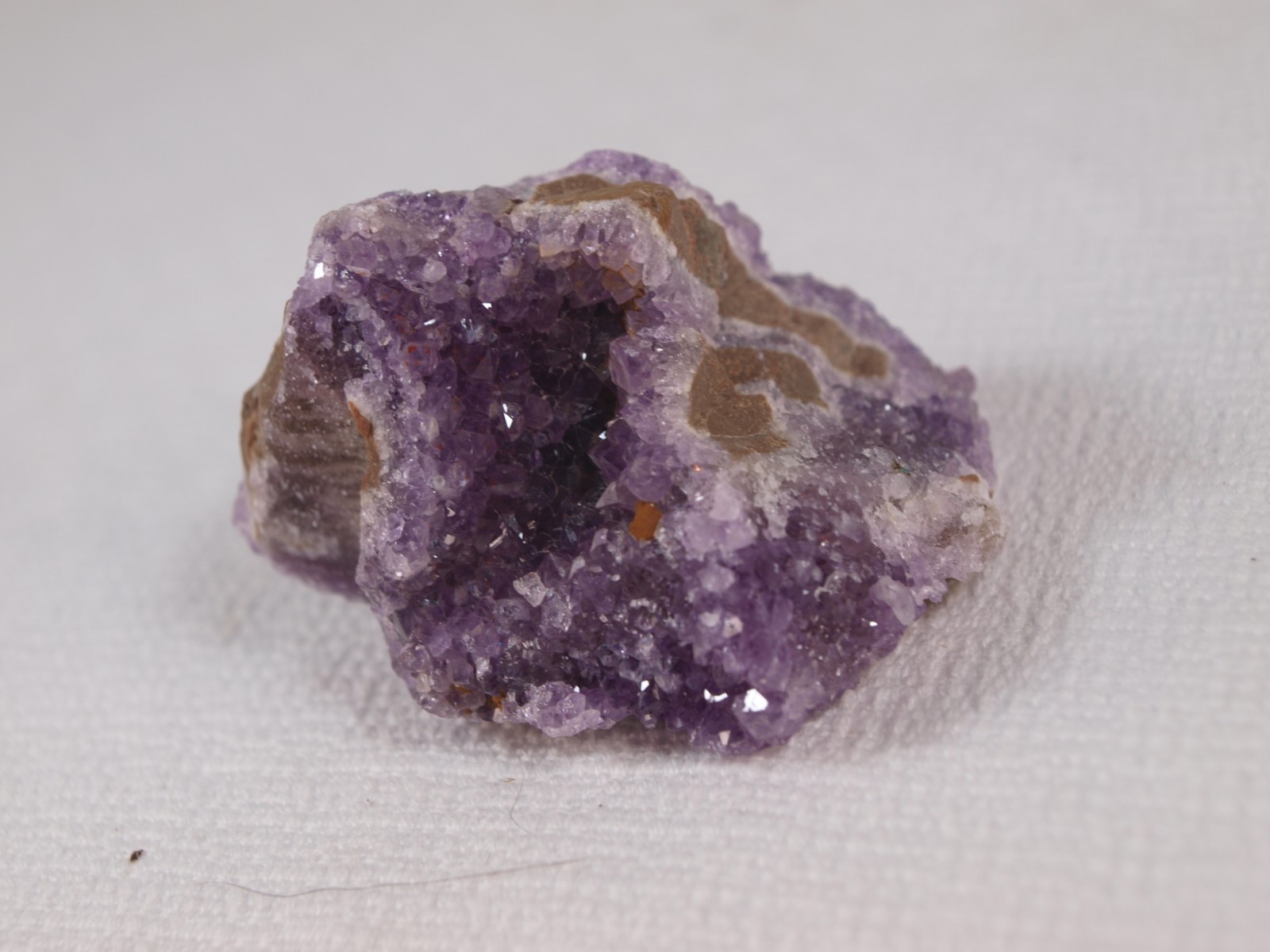Thunder Bay Amethyst Crystal Pocket on Quartz – Self-Collected – 103.6 g