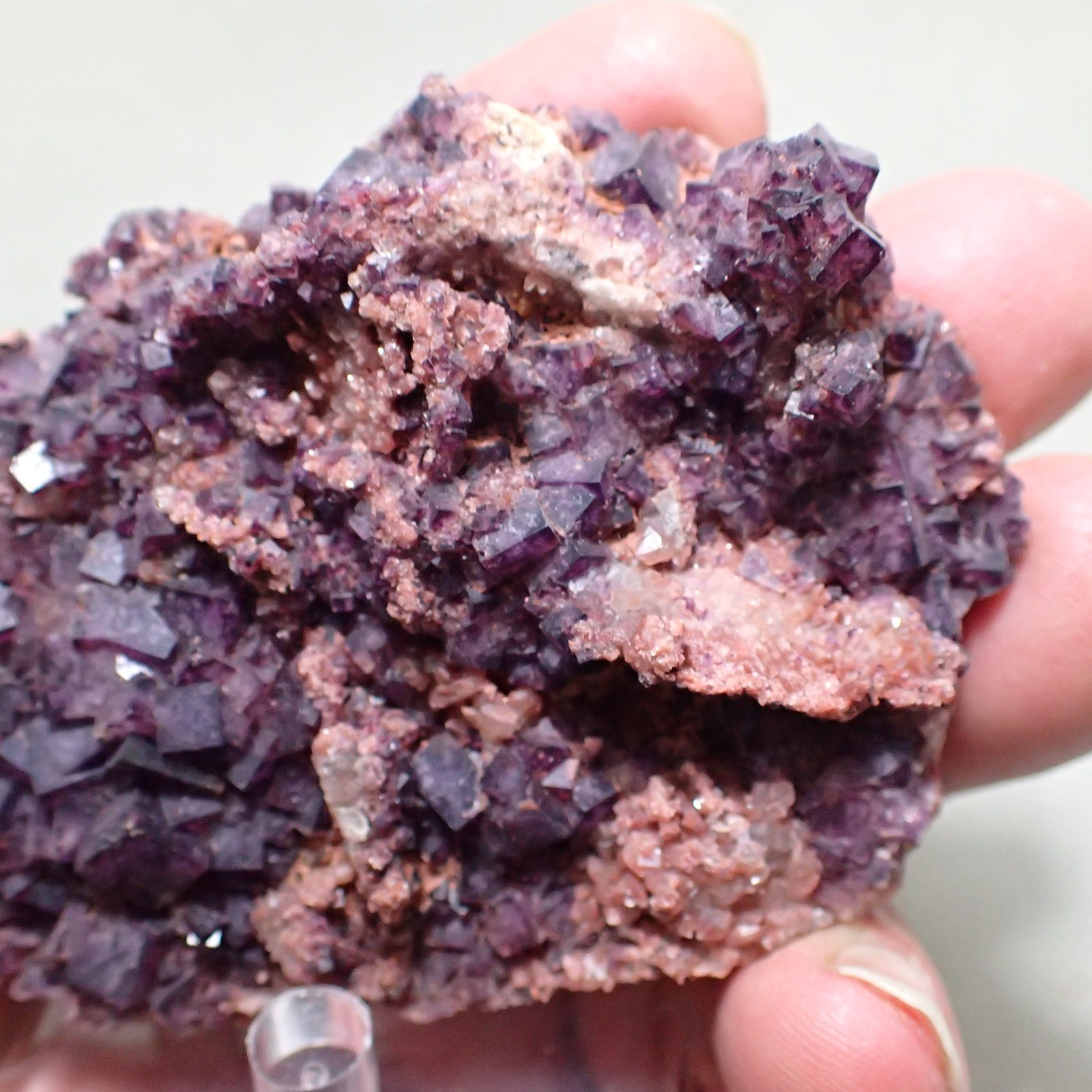 Fluorite, Vrchoslav Fluorite Deposit, Krupka, Czech Republic