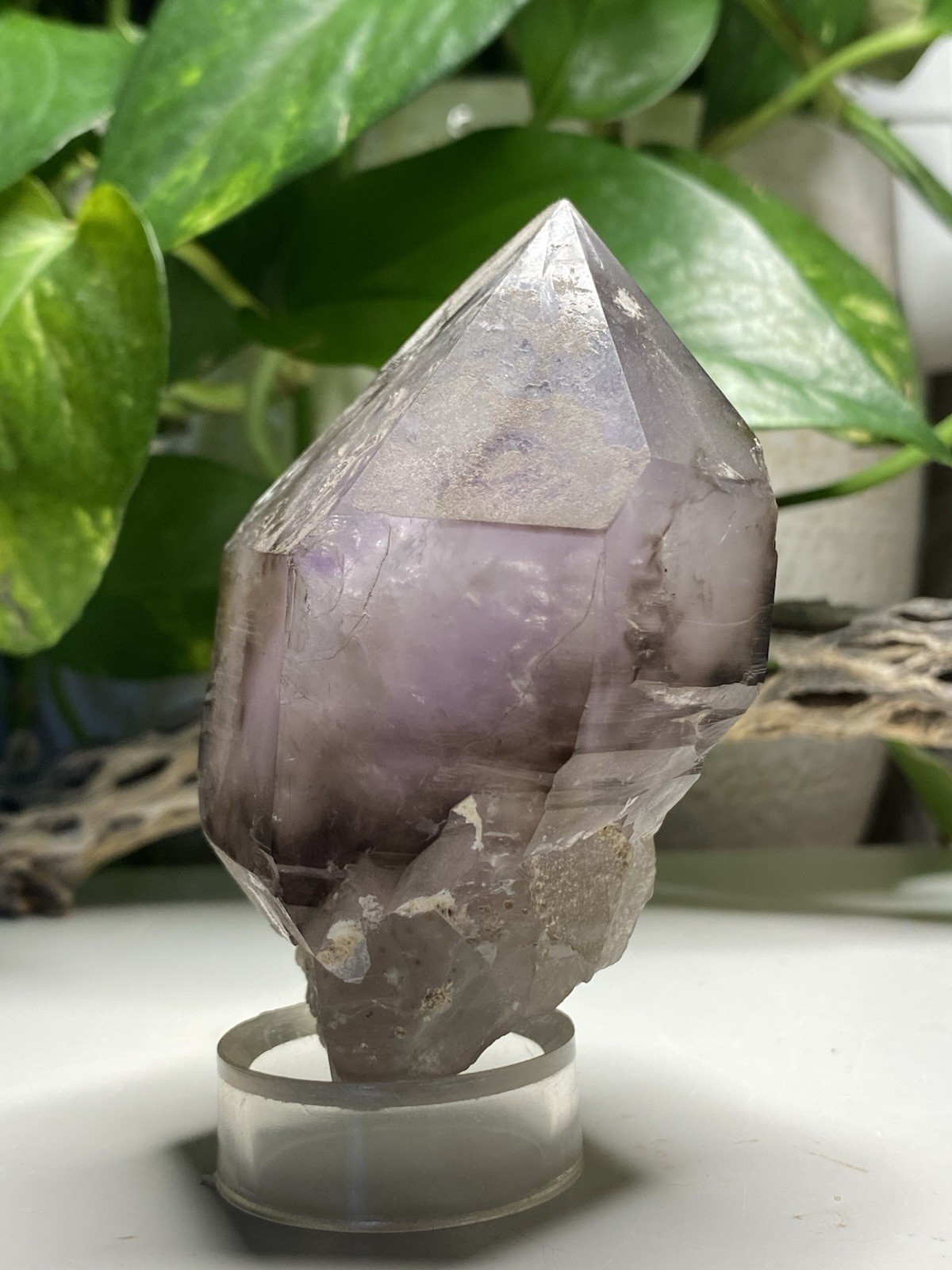 269 Gram Large Smoky Amethyst Scepter – Namibia, Africa