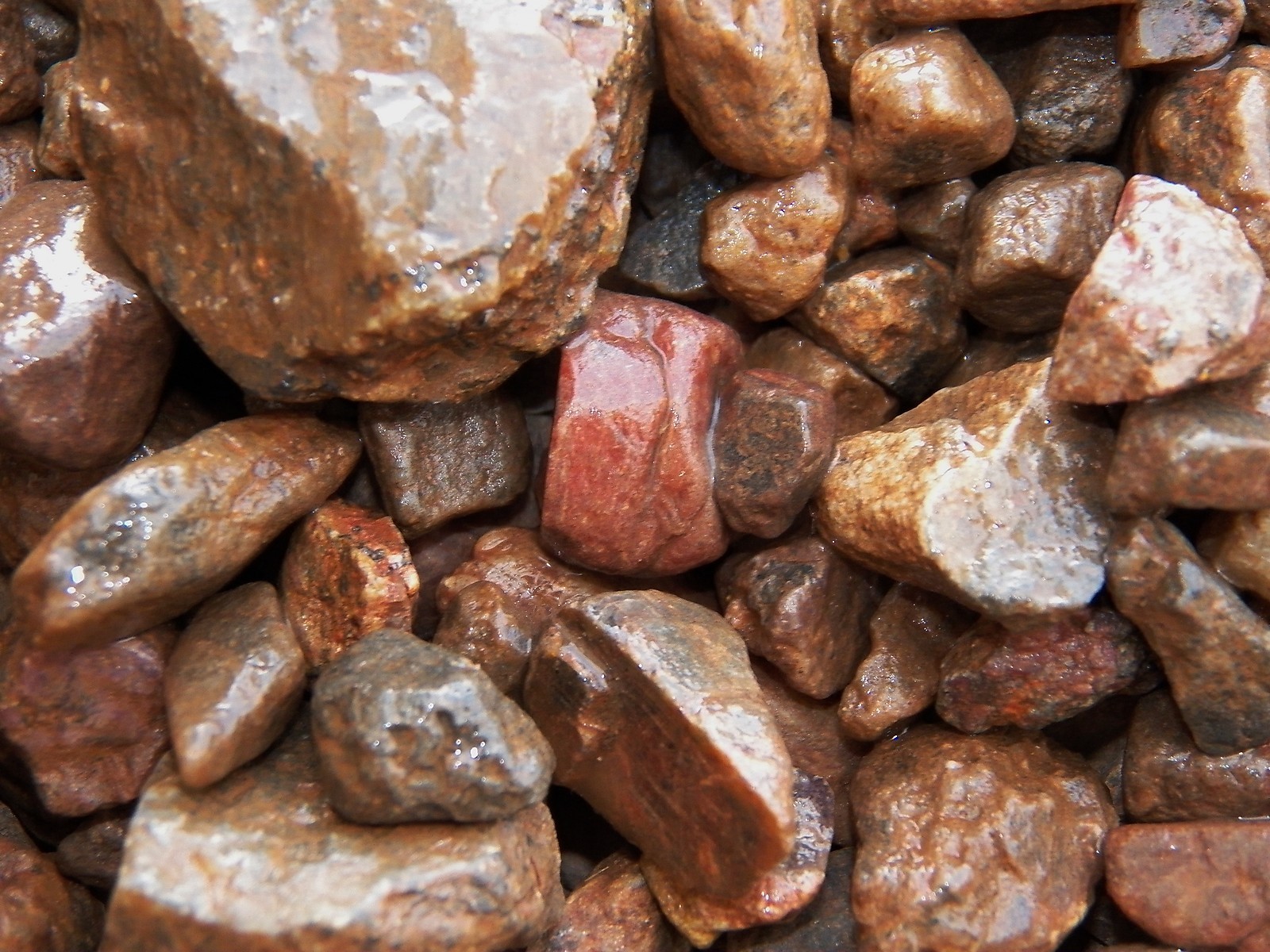 2000 Carat Lots of Ruby Rough – Plus a FREE Faceted Gemstone