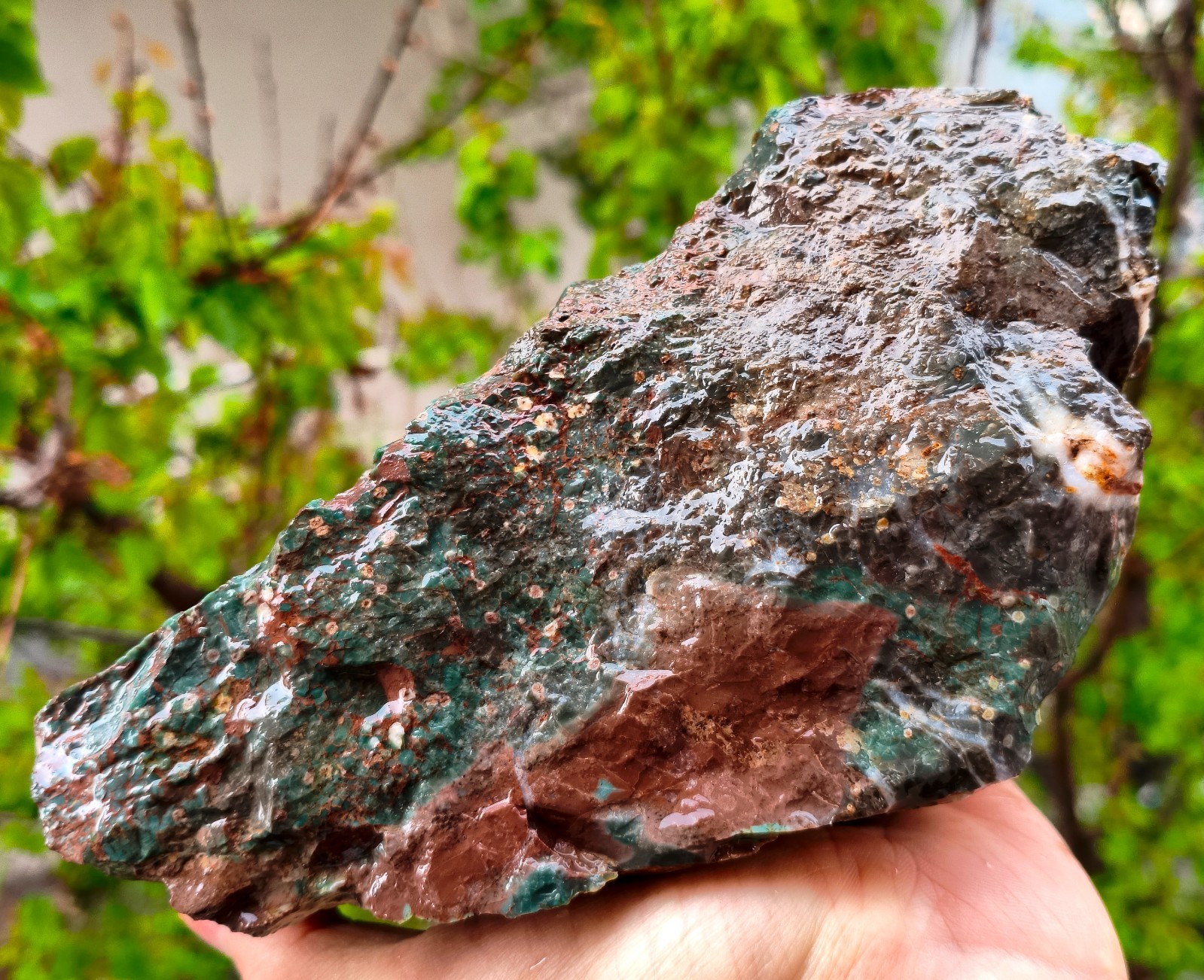 5 Lb 9.3 Oz Raw Heliotrope Jasper Bloodstone *Wet Shot*
