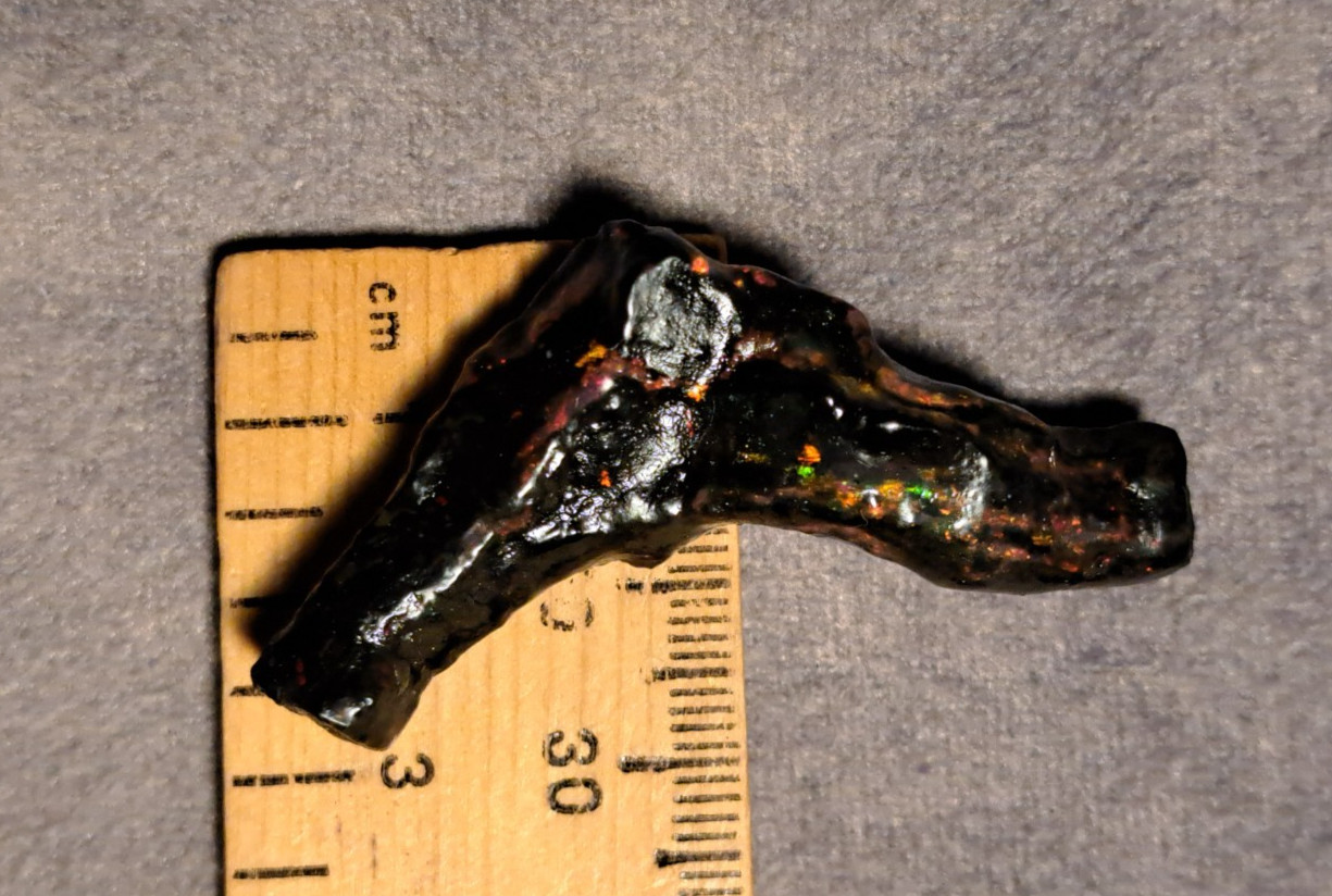 Huge Multicolor 38.52ct Indonesian Wood Opal Fossil Red, Green, & Yellow Flashes