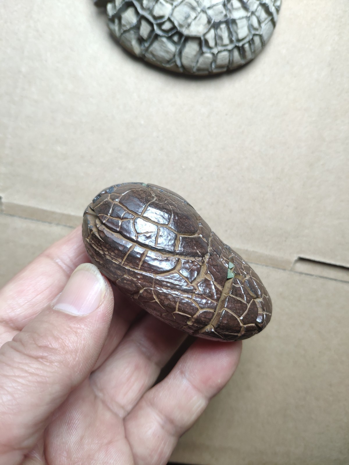 182g beautiful tortoise back pattern stone Turtle grain stone Landscape stone