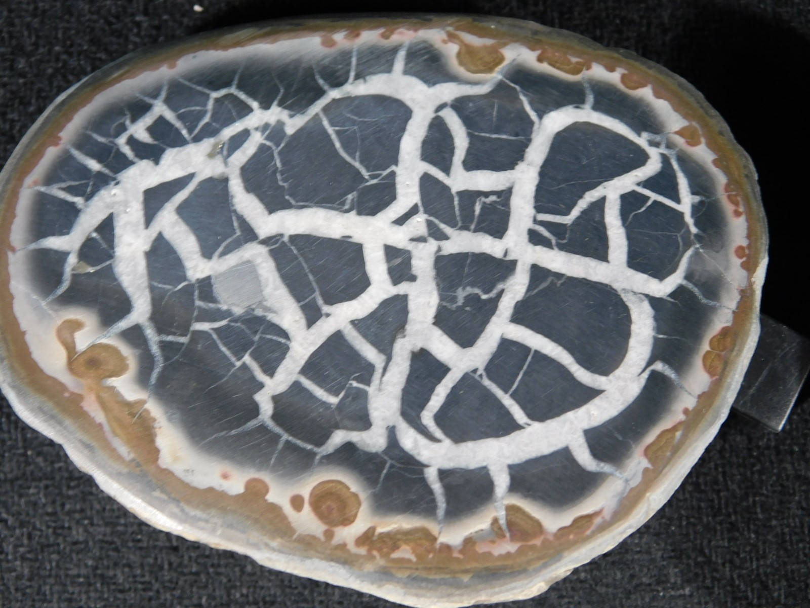 Neat! Lighting Like Pattern! Split and Polished SEPTARIAN Nodule Morocco 248gr
