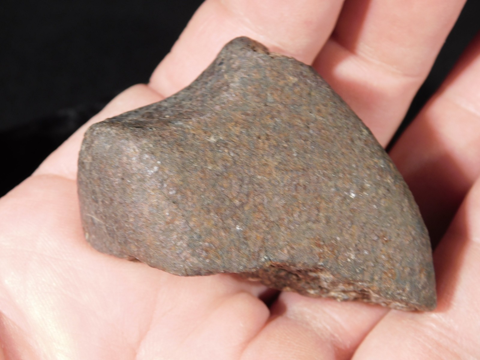 Stony N.W.A. METEORITE 100% Natural FELL in Libya 98.4gr