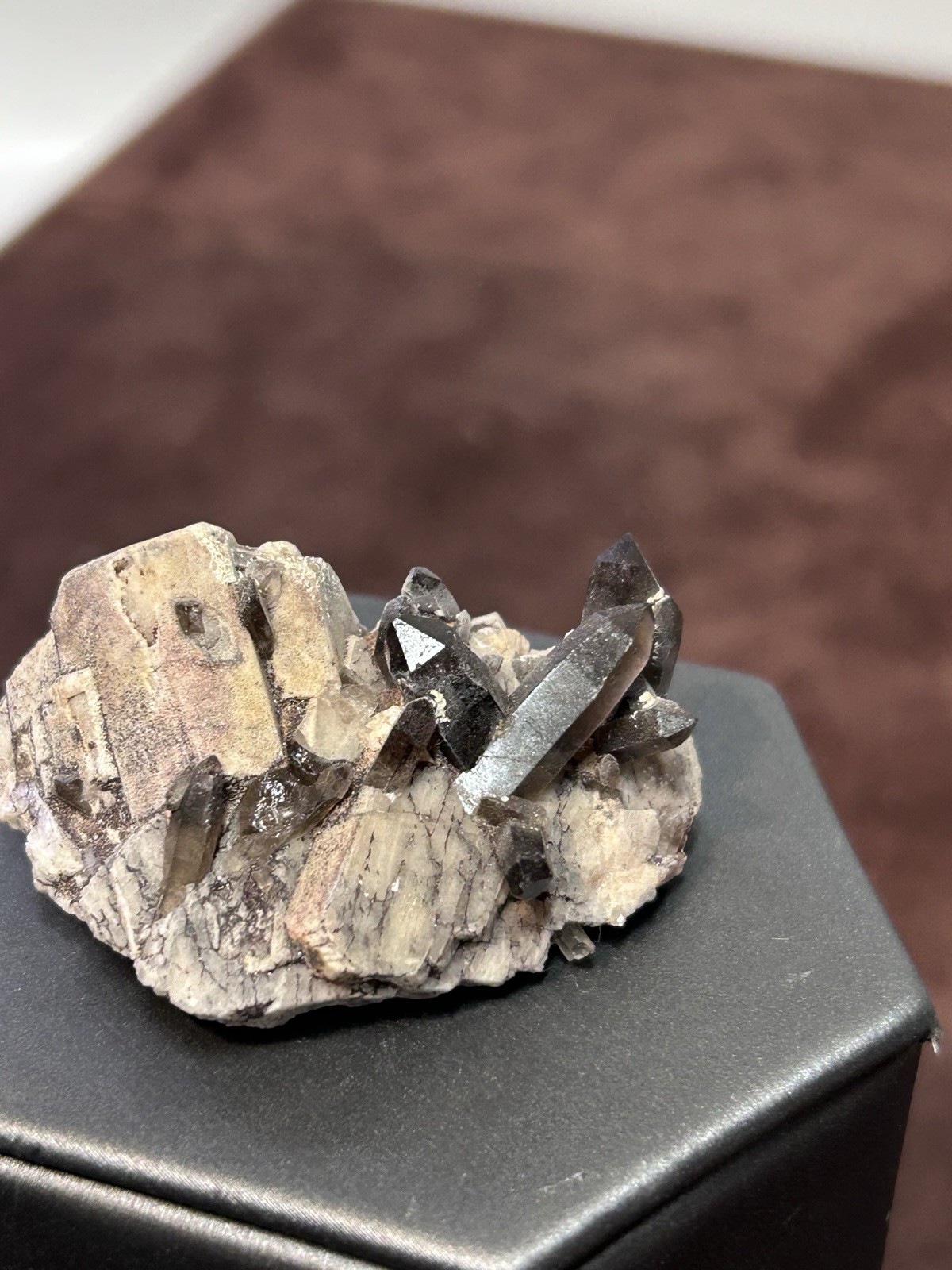 Smoky Quartz on Microcline Colorado Crystal Lined Pocket Miniature Mineral