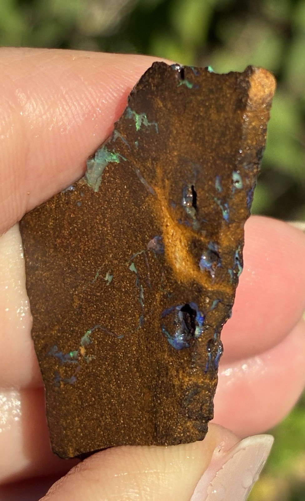 Pretty 47ct Australian Boulder Opal Rough Loose Multicolor Specimen PP