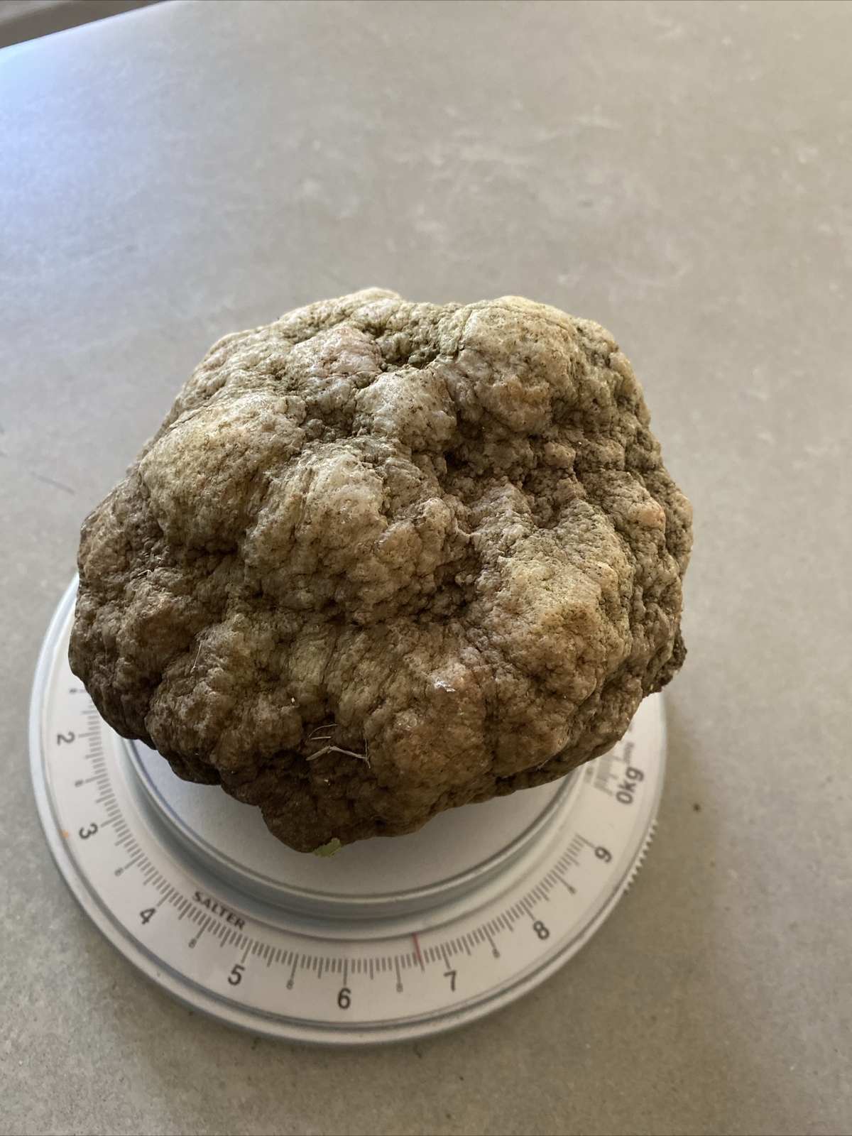 8 LBS + Whole GEODES AGATES NODULES Lapidary Uncut Semi to Solid Whole Quatz