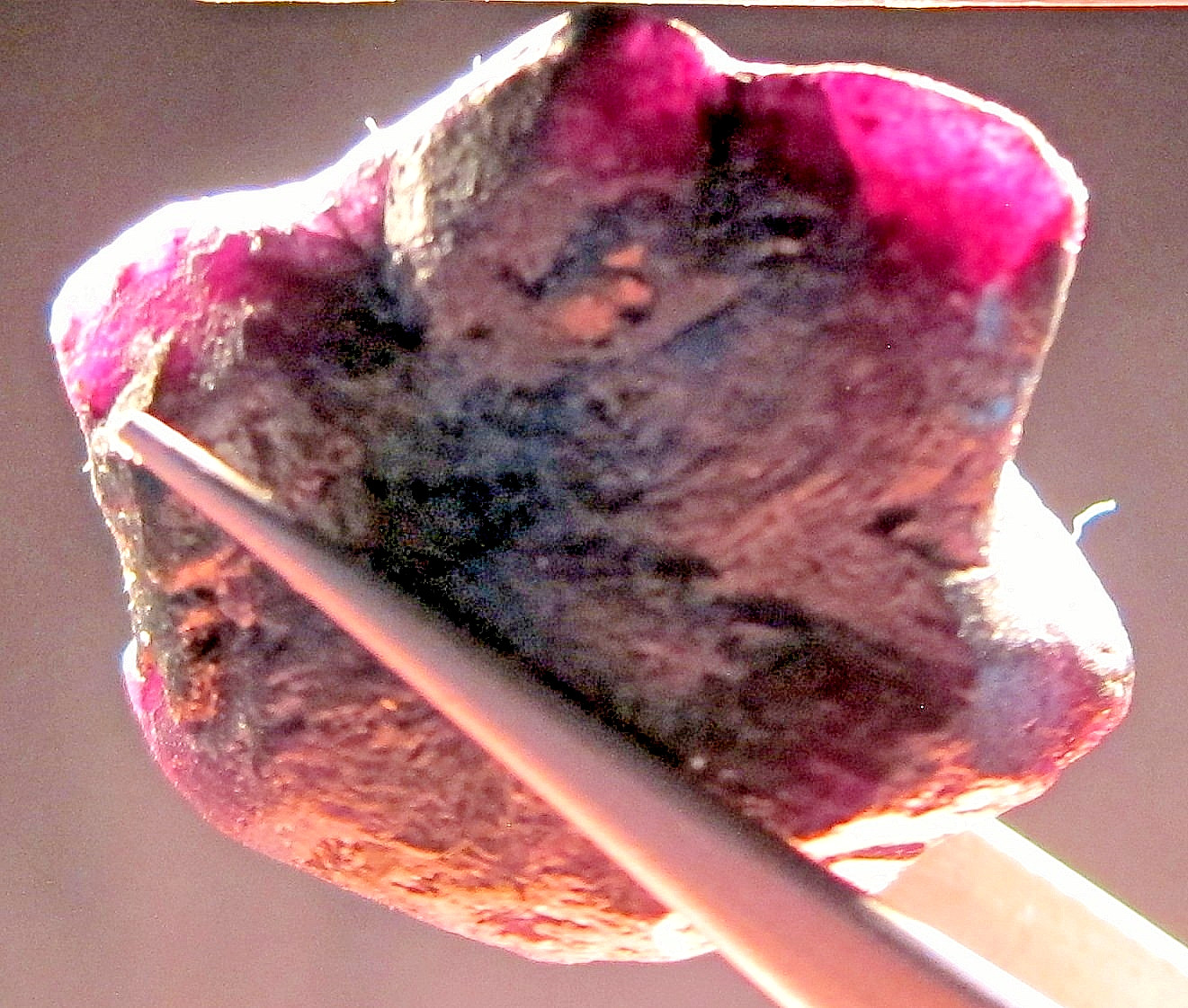 64.2 CT ALEXANDRITE NATURAL ROUGH COLECTOR’S CRYSTAL MINERAL GEM (N1)