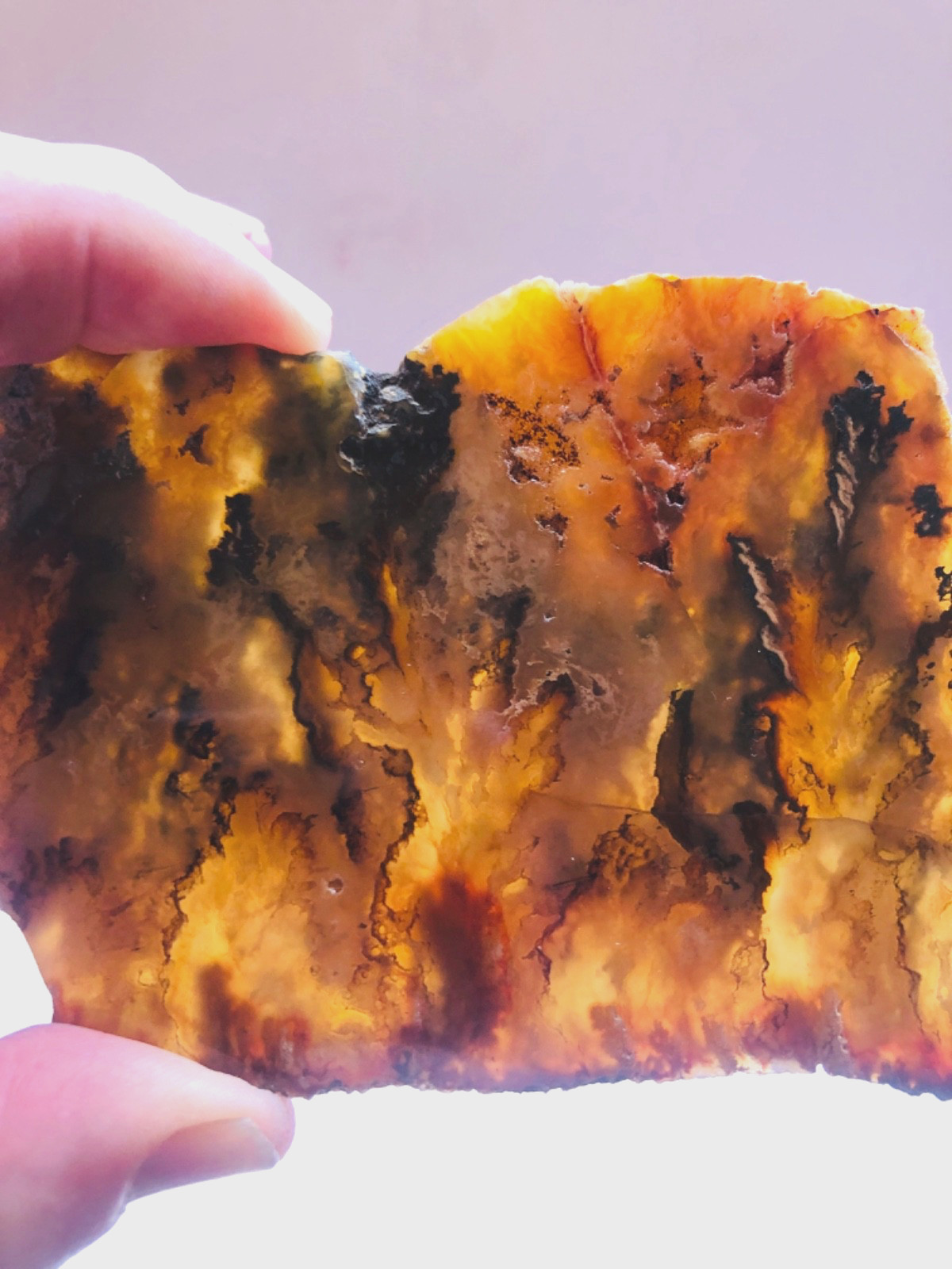 Graveyard Plume Agate Museum Grade Collectors Slab Oregon 202 Grams