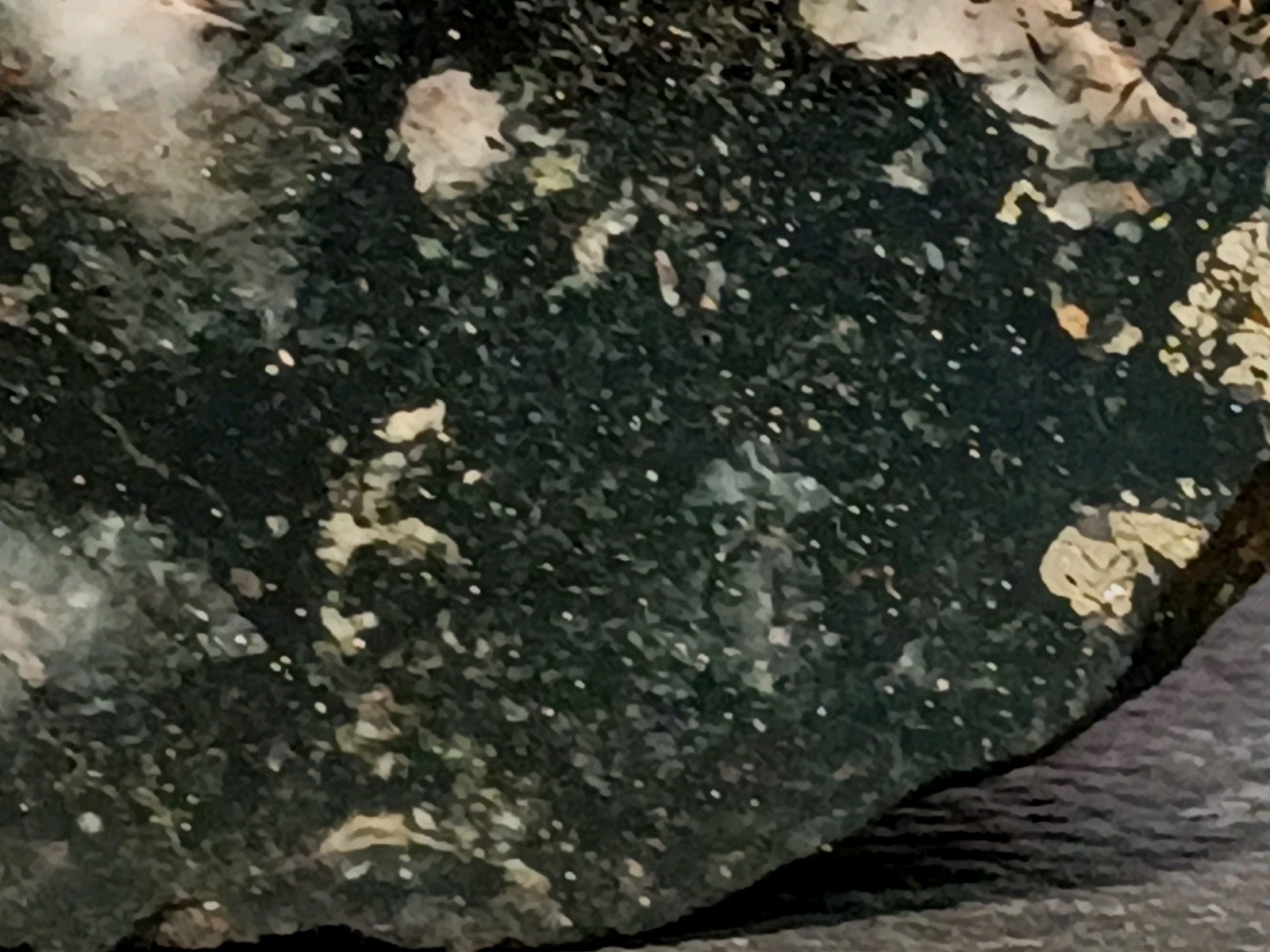 1420g Pilot Knob MO Amphibole Quartz Pyrite Magnetite Specularite Polished