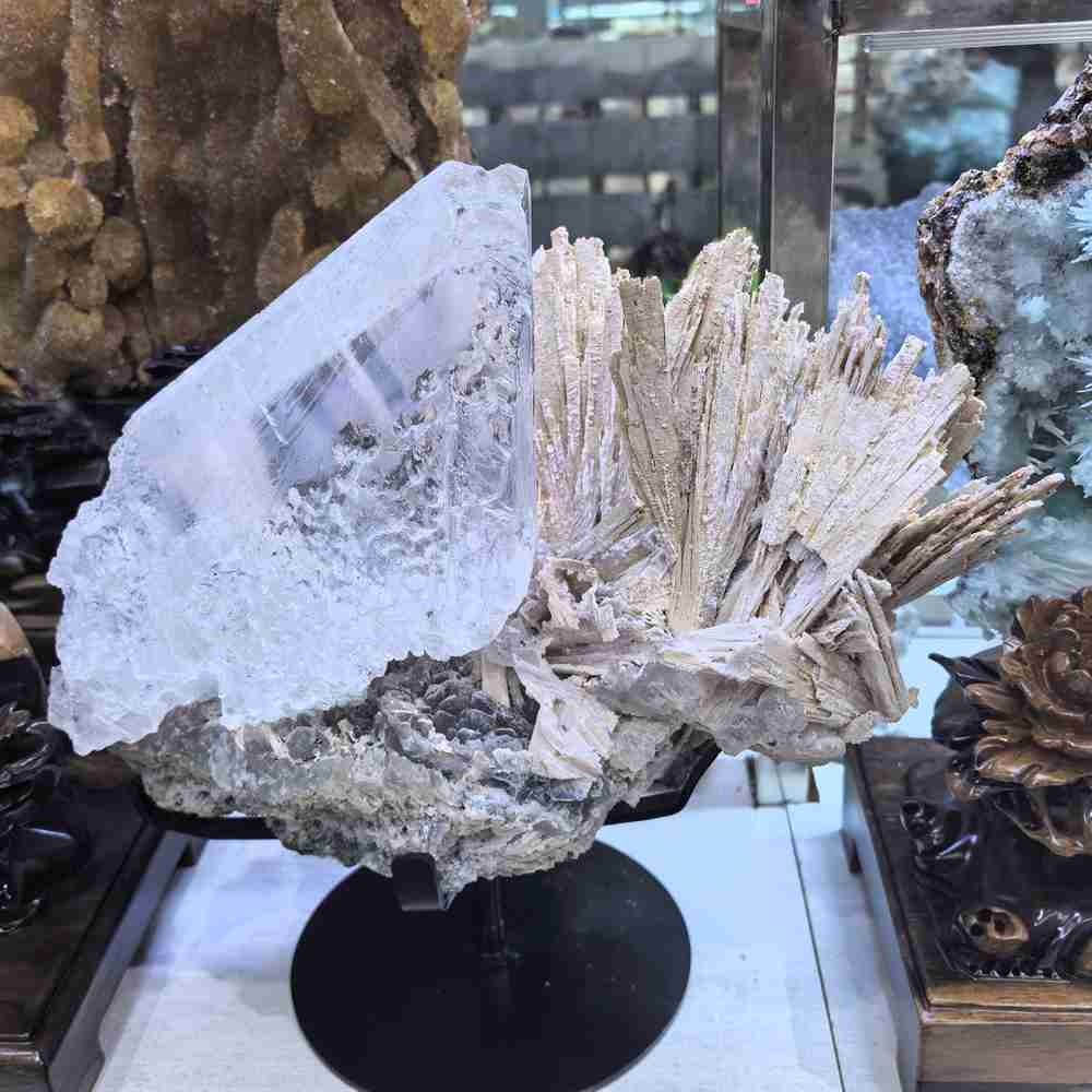 17LB Rare Natural Clear Selenite Gypsum Crystal Symbiosis Mineral Specimen
