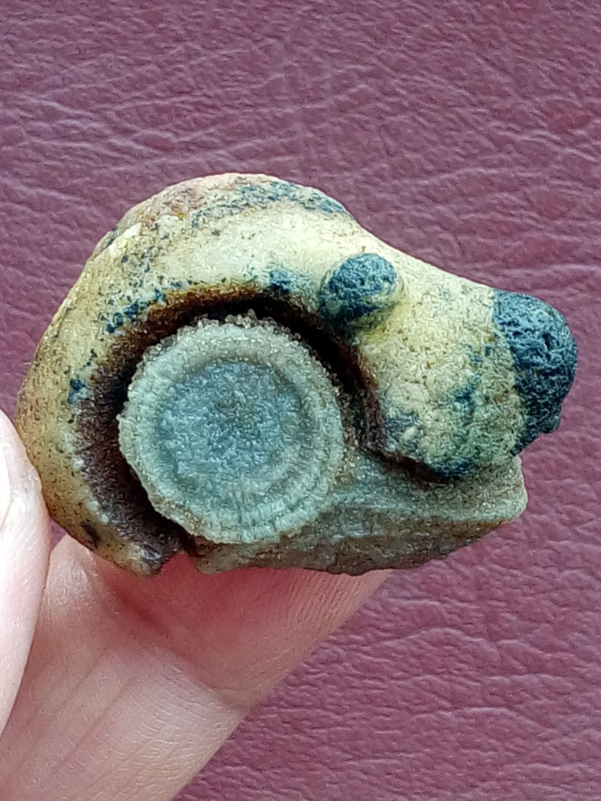36mm Natural Gobi agate eye agate stone cute collection