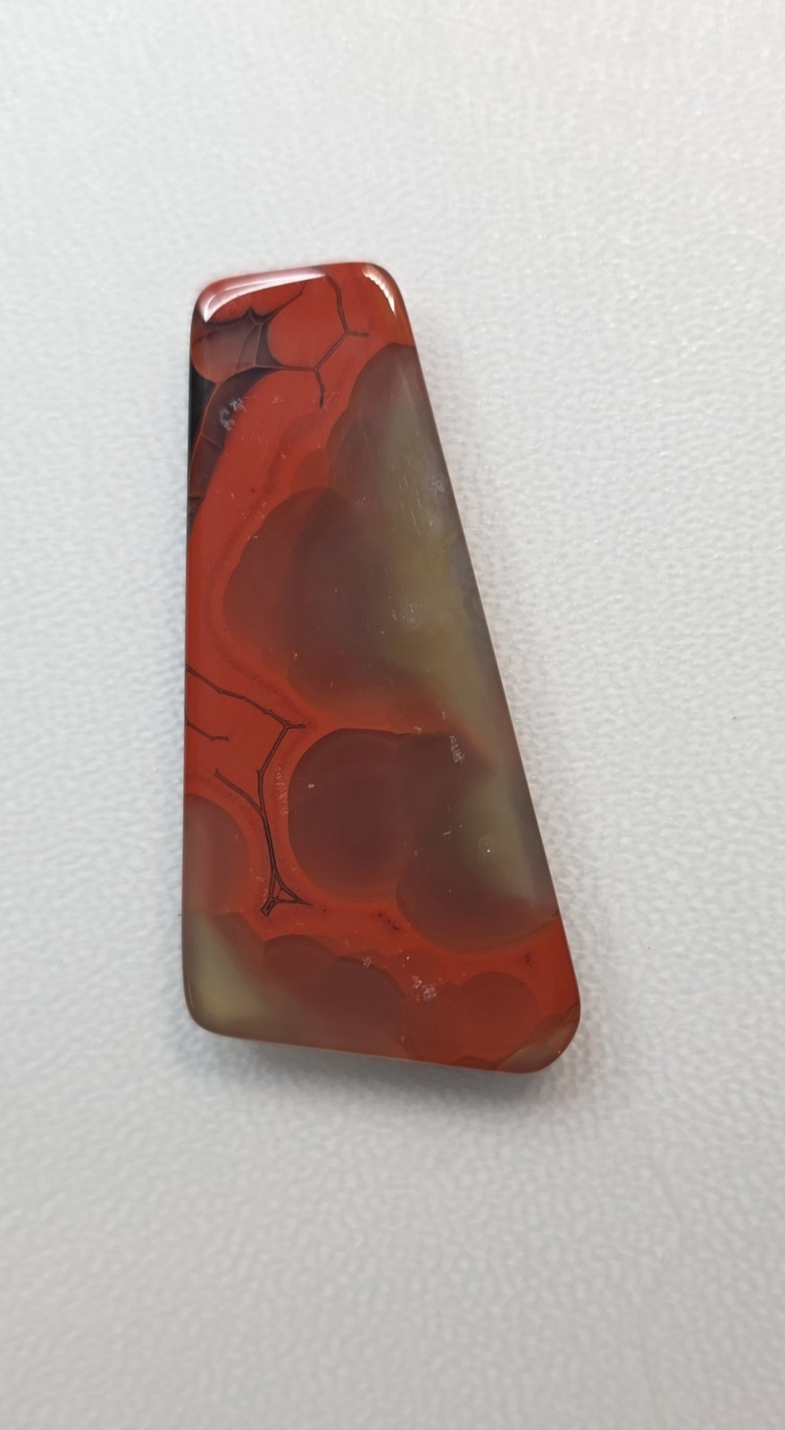 Beautifully banded Red Black Clear Kentucky Agate Cabochon Ready to set #C-14