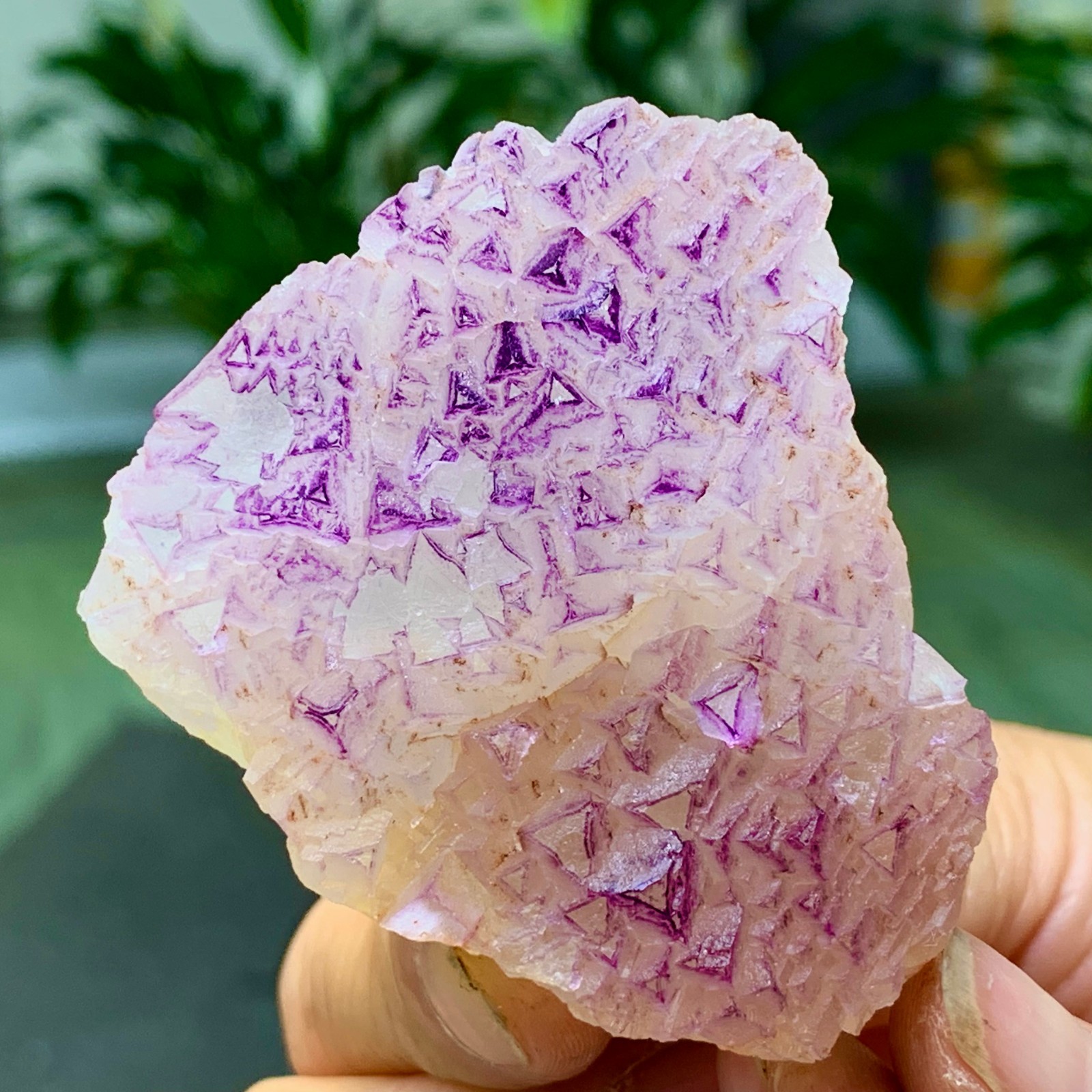 100G Natural fluorite purple edged cubic crystal mineral sample