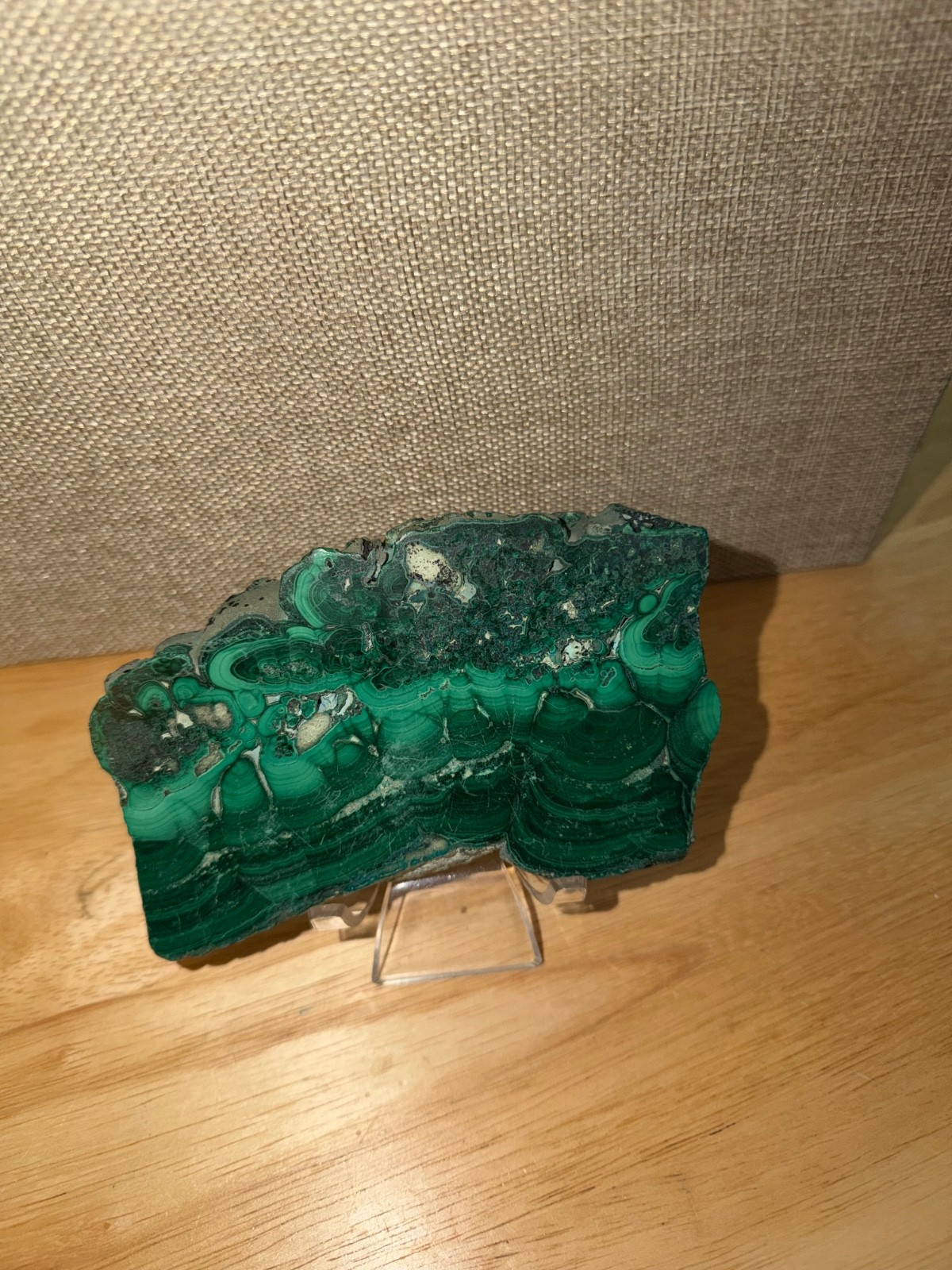 Malachite Polished Slab • Natural Green Banded Stone • 5.25” Collector Display