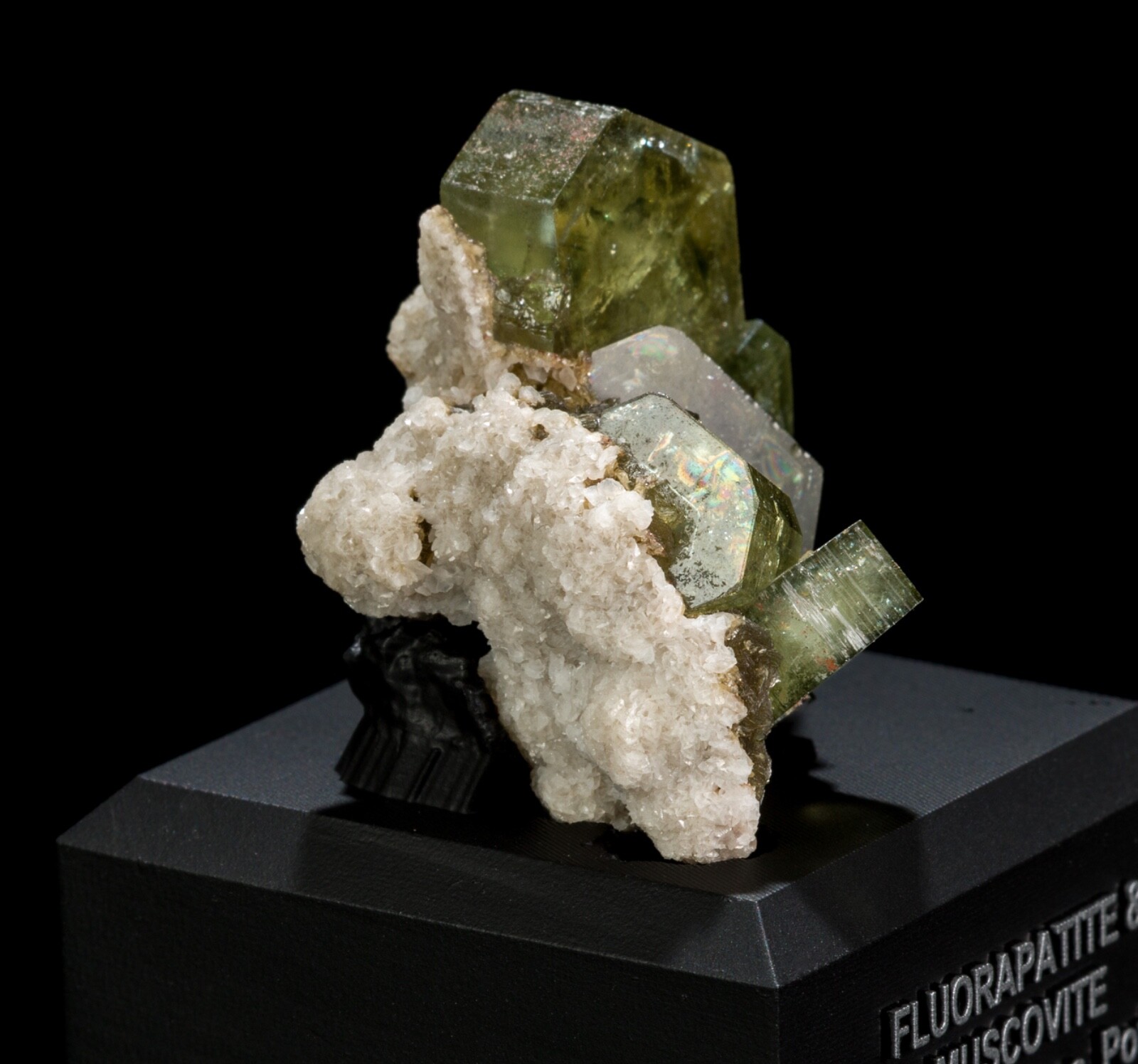 Fluorapatite & Muscovite from Panasqueira Mines, Portugal