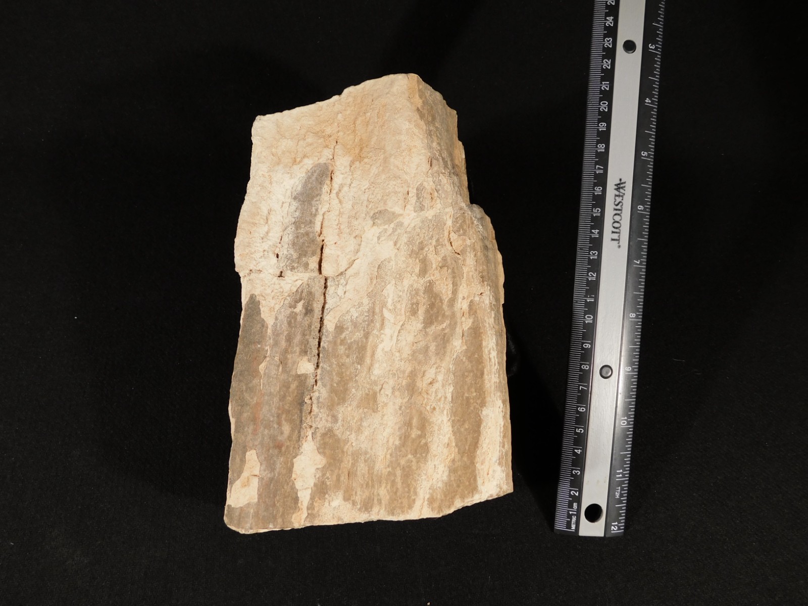 Nice BARK! Big Petrified Wood Fossil From Jurassic Utah 2575gr